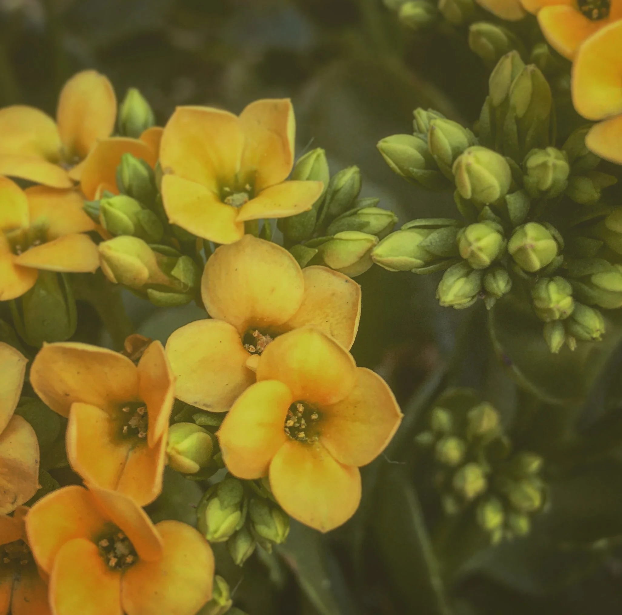 DG01_09 September IMG_4497_LOOSEN YOUR GRIP.JPG