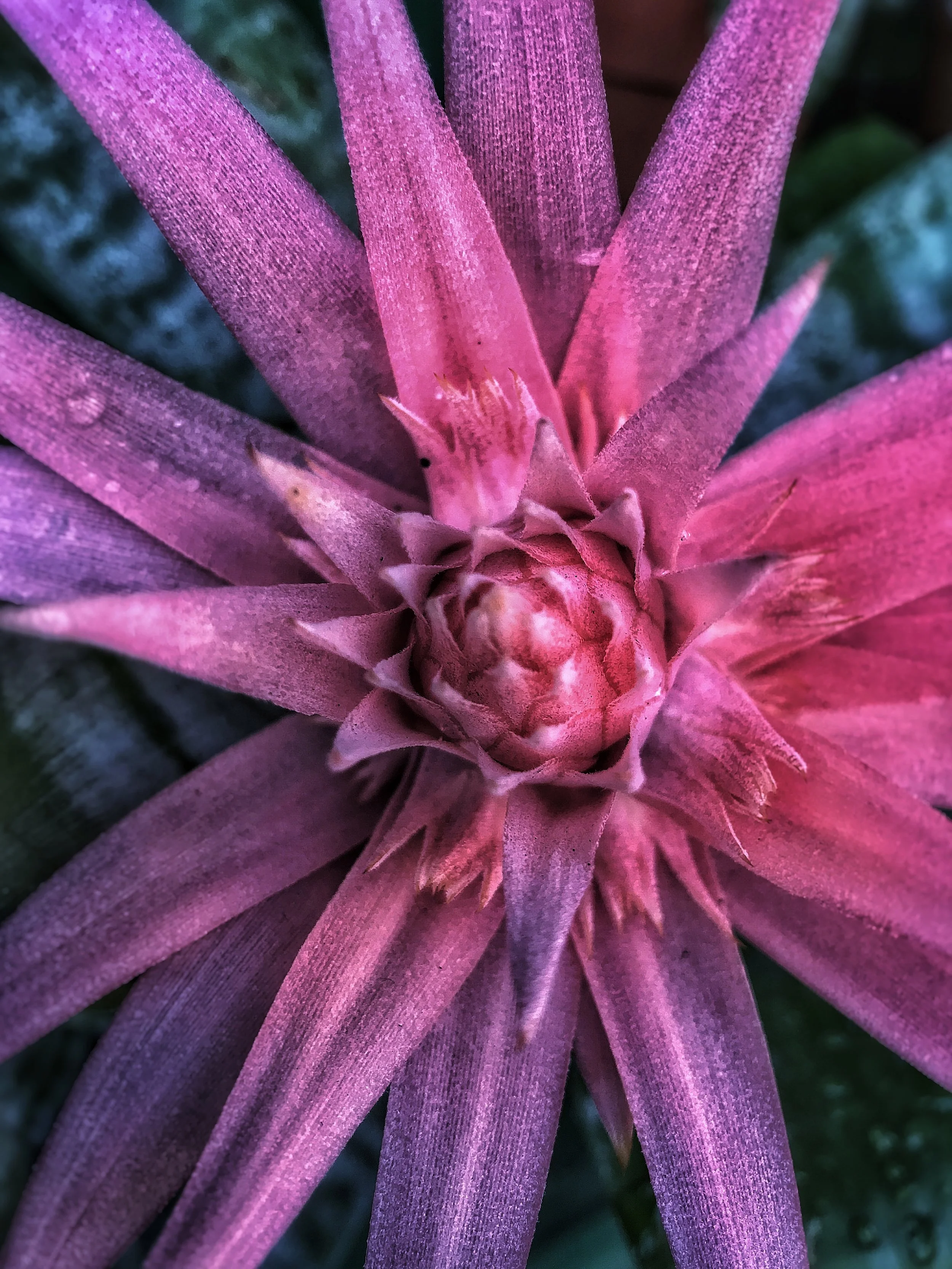 P8_2018_03 March IMG_0397_CENTER YOUR SOUL.jpg