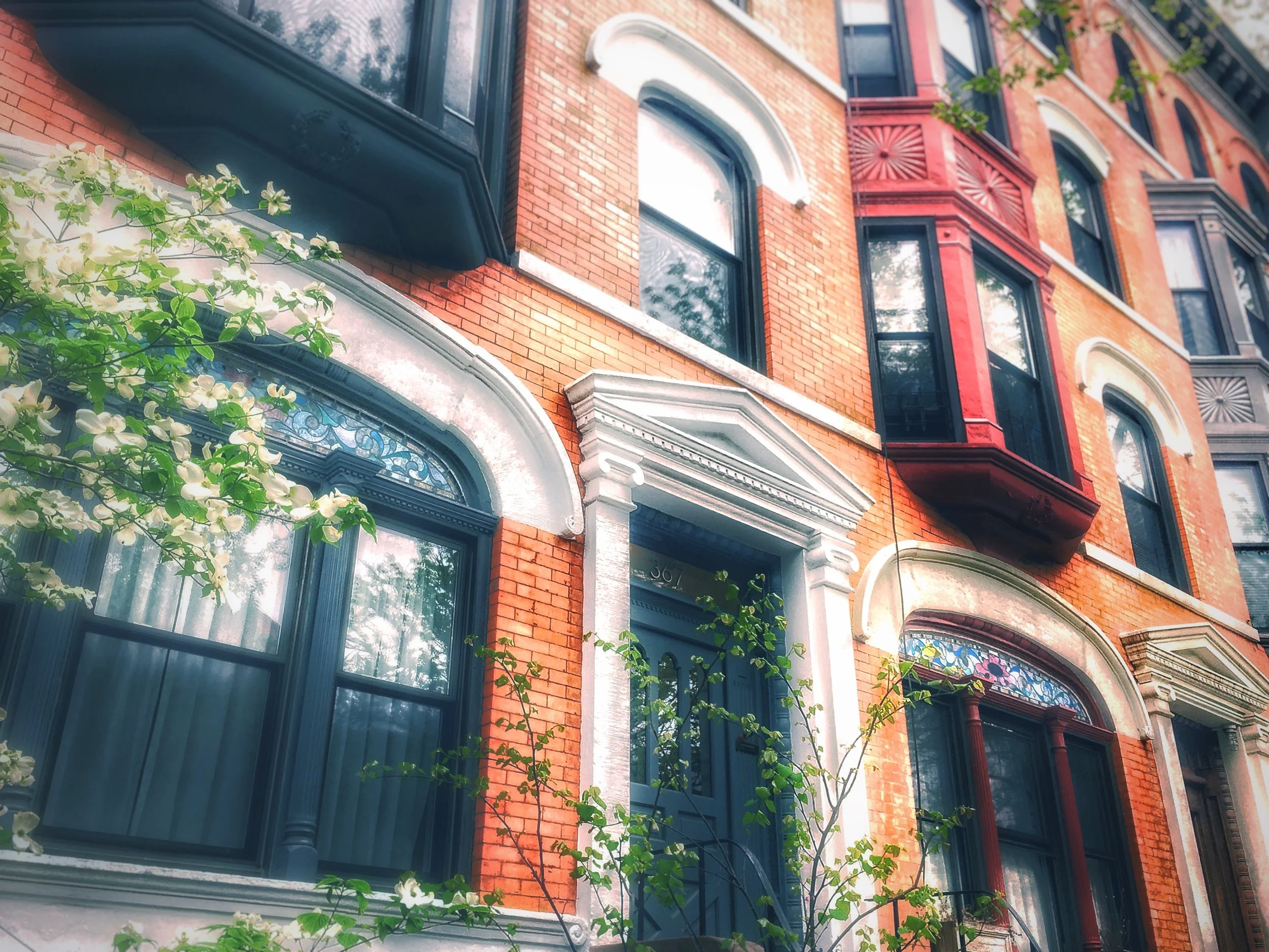 DG05_2018_06 June IMG_0011_HOME IS WITHIN.JPG