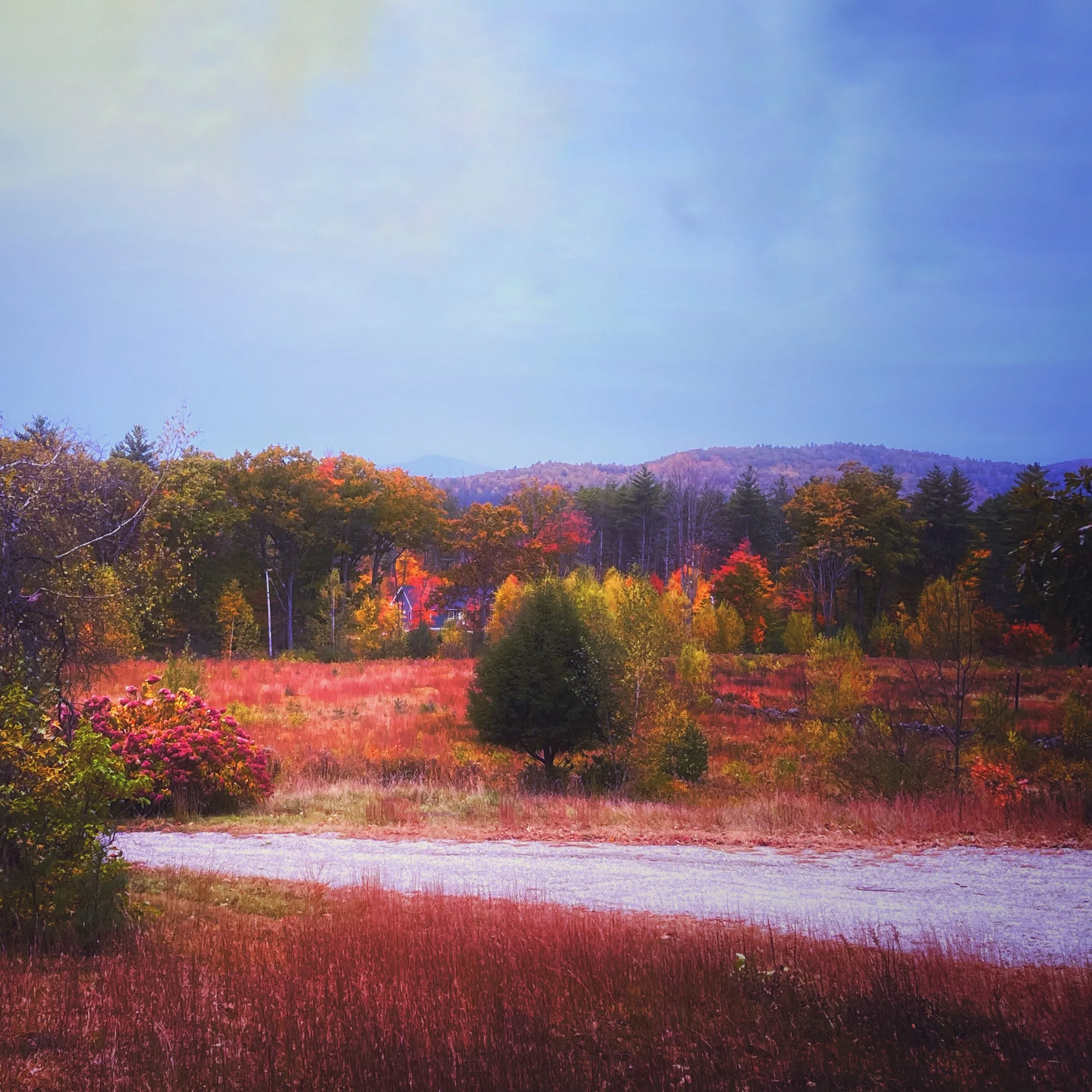 Y9_September 2025_REUINION II.jpeg