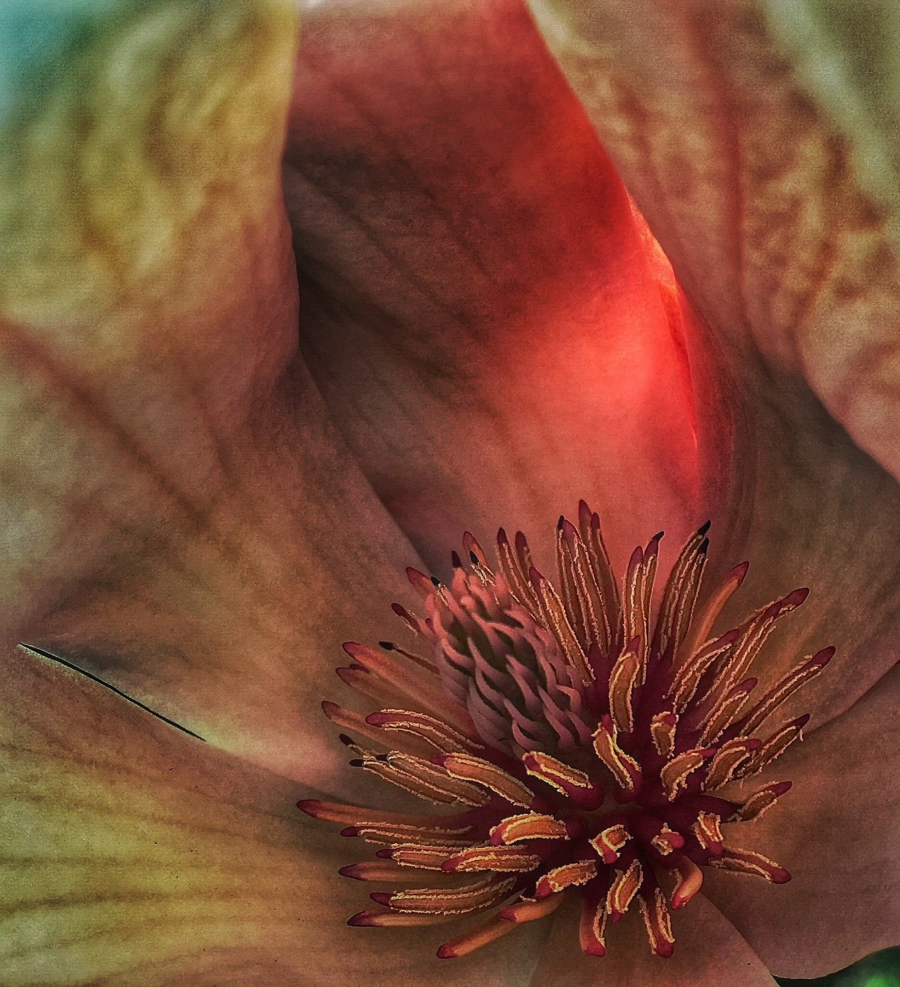 DG06_2018_06 June IMG_6847_DIVE INTO YOURSELFjpg.jpg