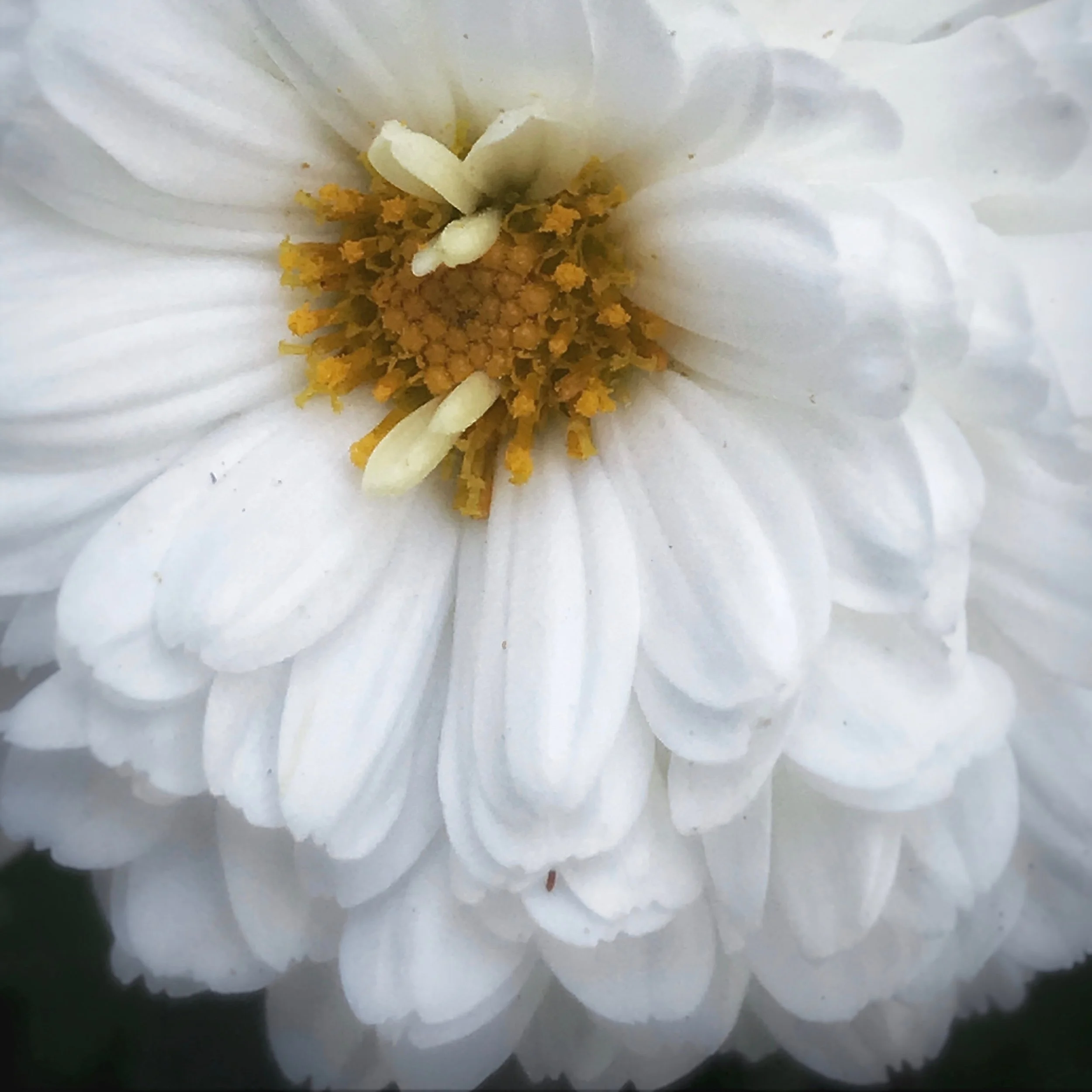 B9_2019_12_December_YOU HAVE TO BE GENTLE WITH YOURSELF FIRST.jpg