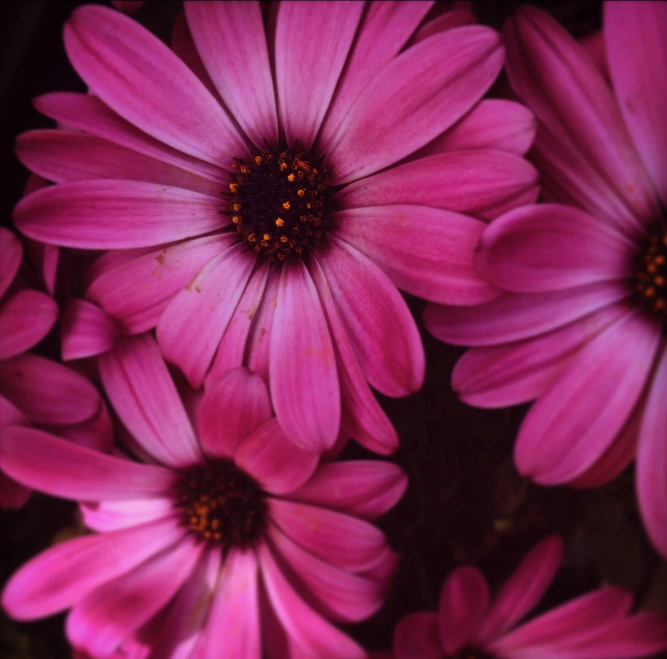 LG18_02_2021_YOU ARE WORTHY OF THE DEEPEST LOVE.jpeg