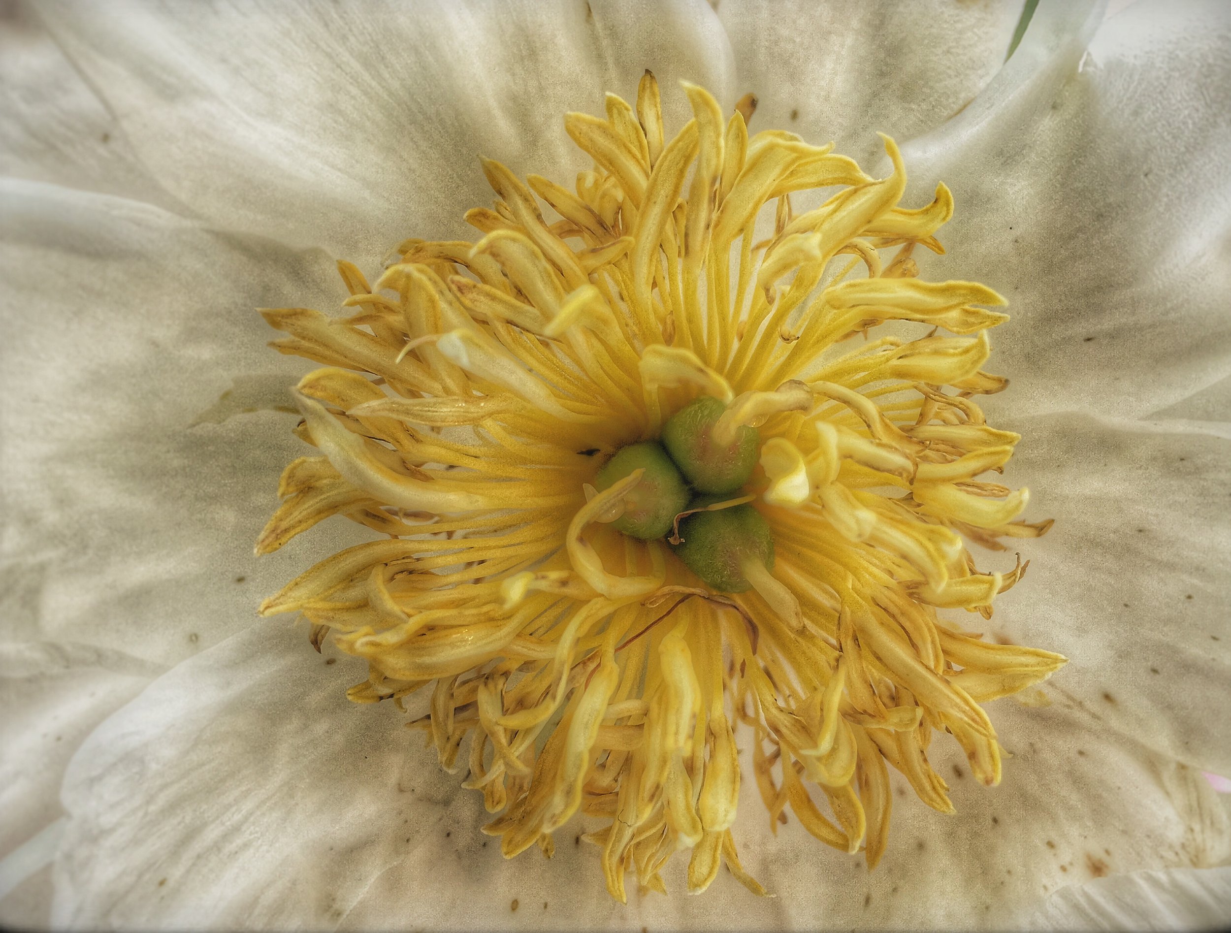 DG04_2018_03 March IMG_7894_STIR YOUR CREATIVE POT.JPG