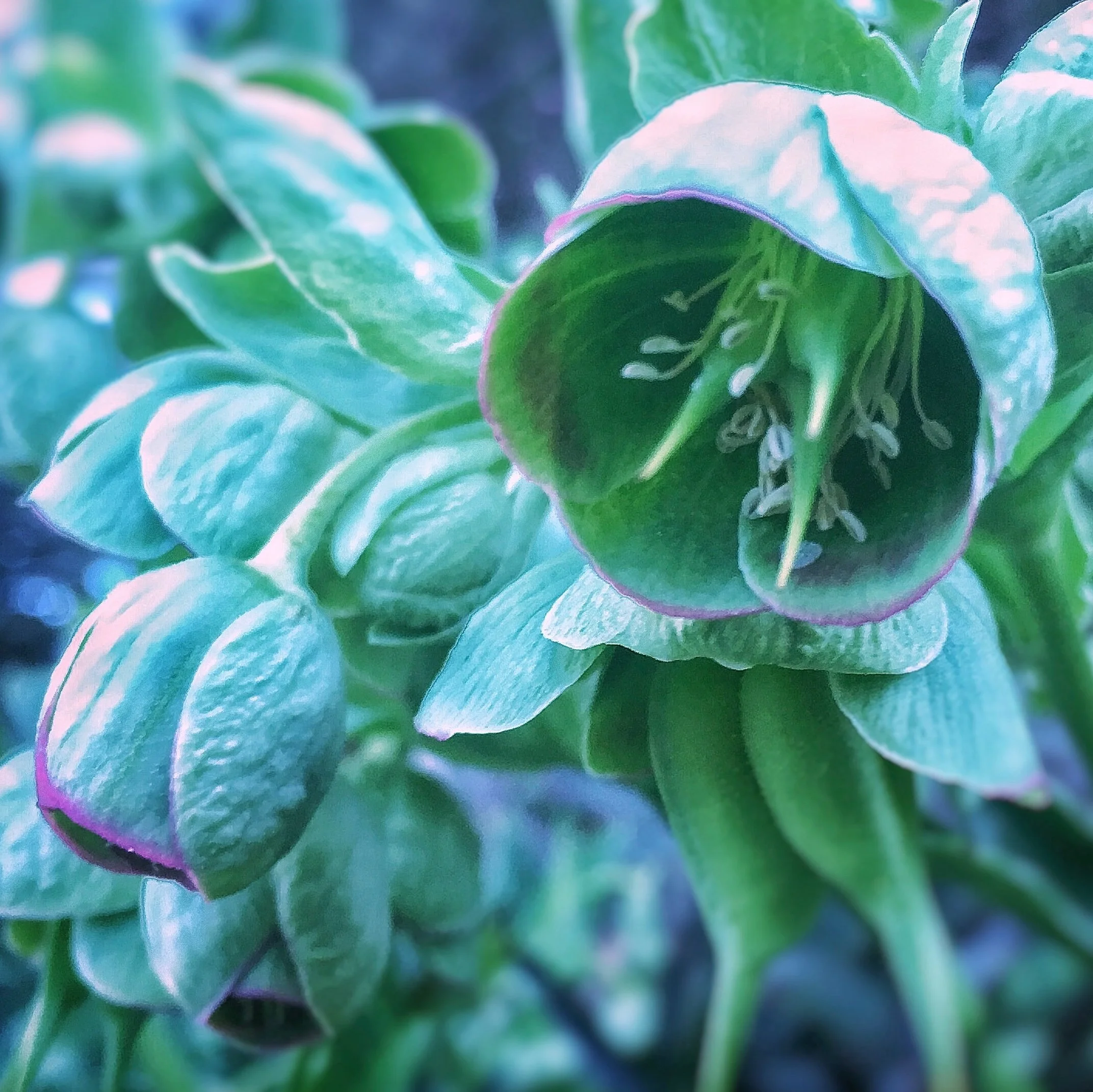 P4_2019_03_March_SOME THINGS ARE JUST FOR US.jpg