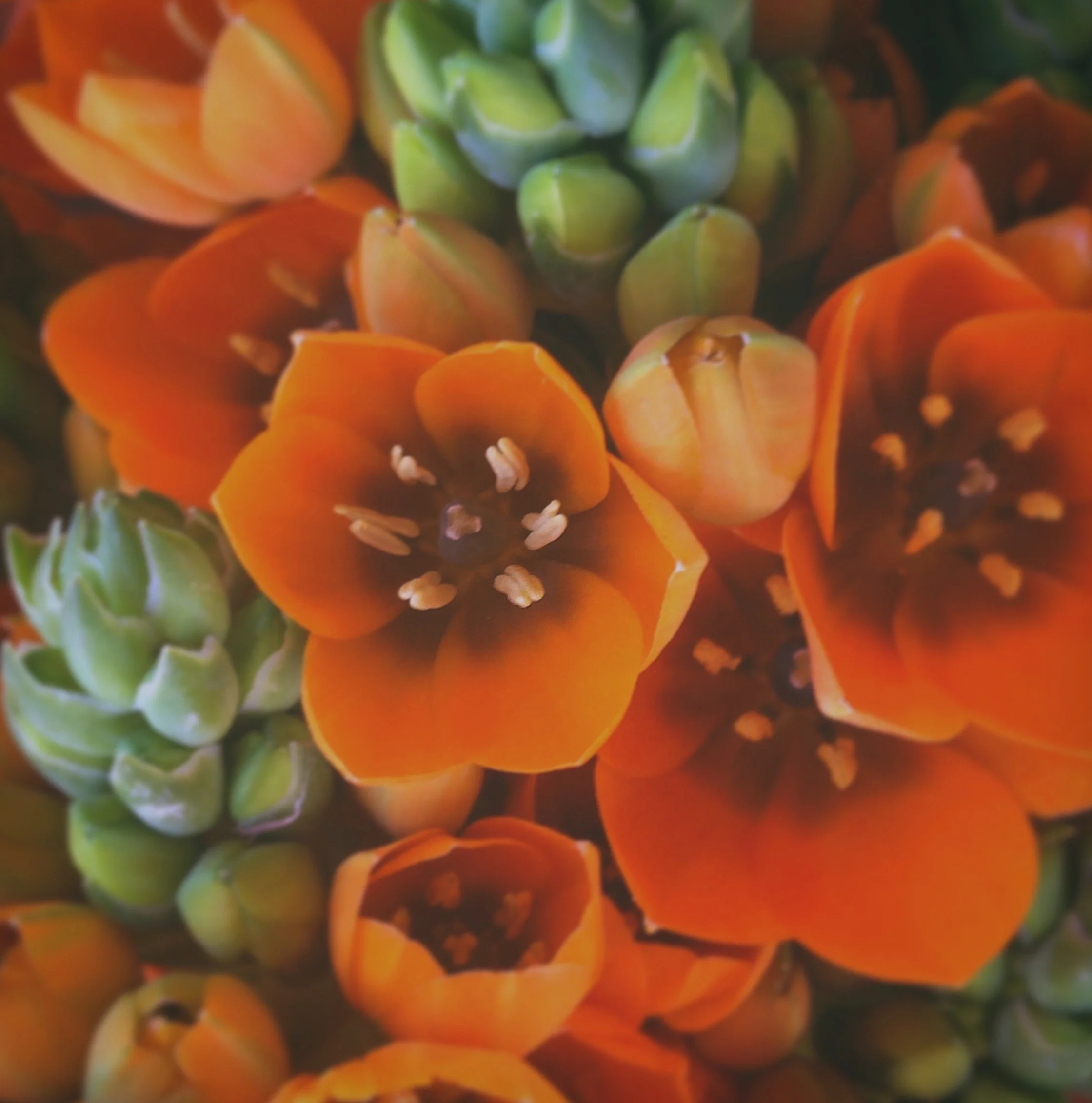 LG3_2018_09 September IMG_2737_HOLD YOUR HEART.jpg