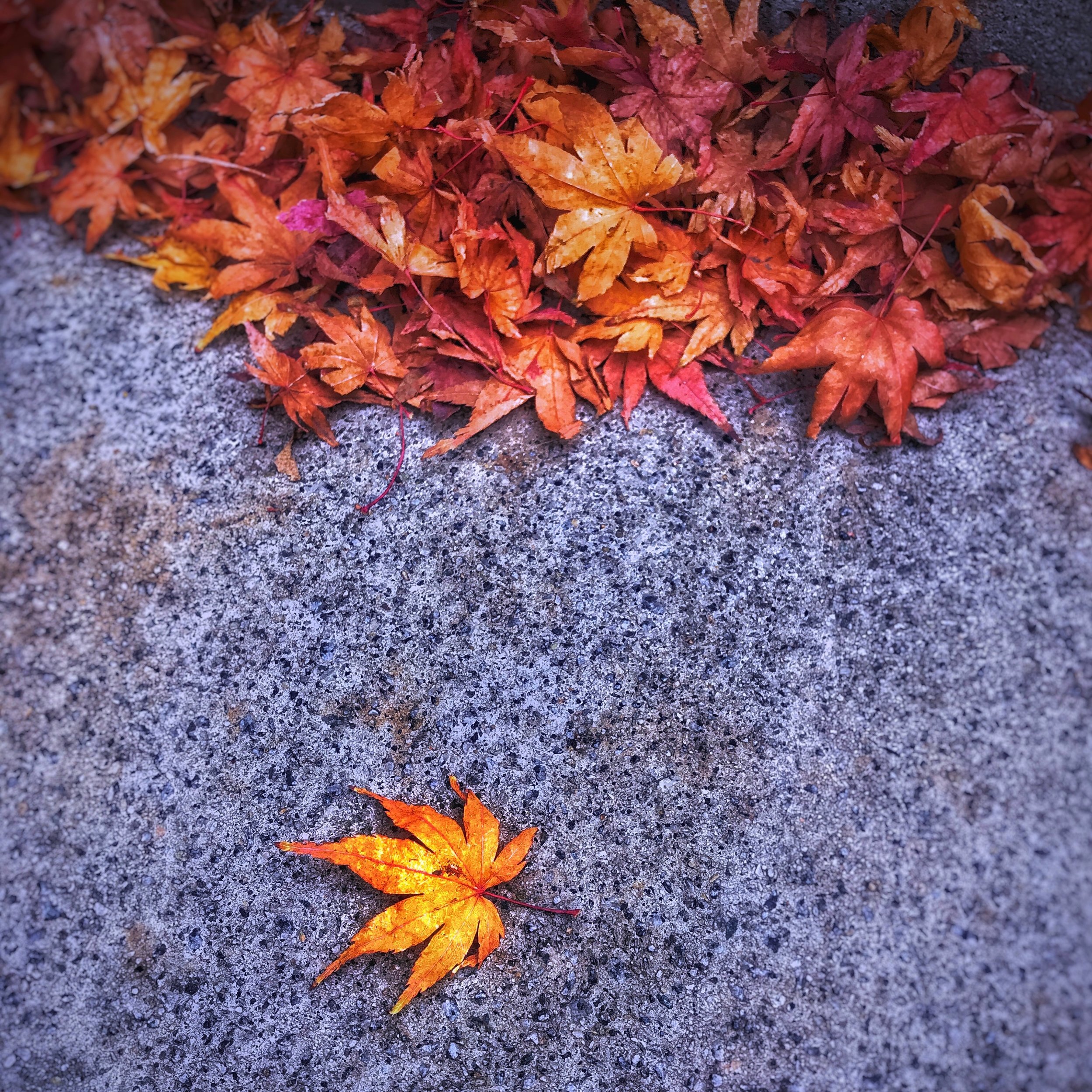 B17_2019_10_October_BEING ALONE CAN BE AWESOME.jpg