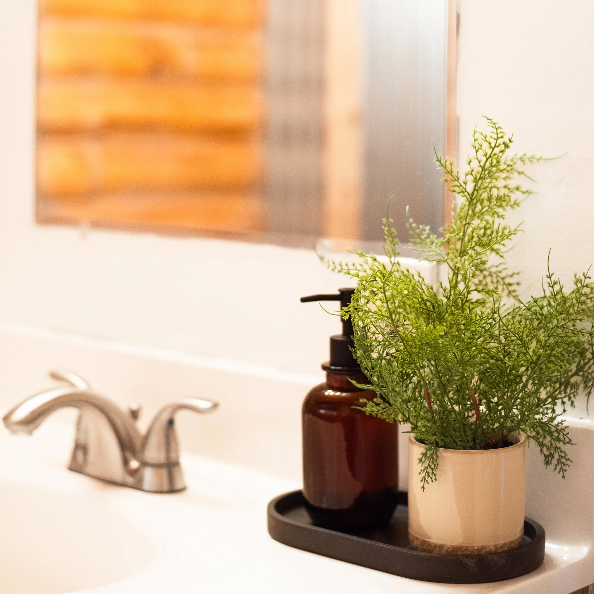 SD Outfitters interior bathroom, facet, marble tray and amber soap dispenser with plant nearby