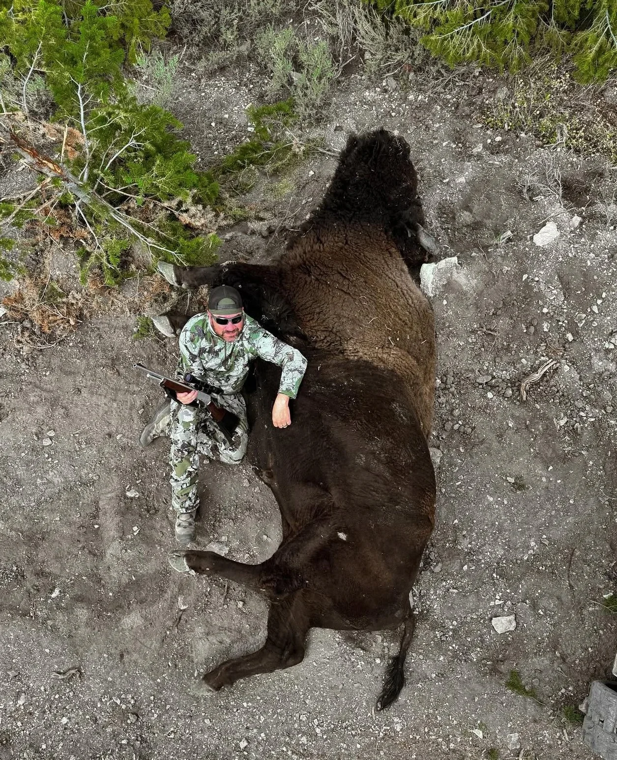 Bird's-eye view of a man in camouflage clothing and sunglasses lying on the ground next to a large, dead bison in a wilderness area with trees and grass.