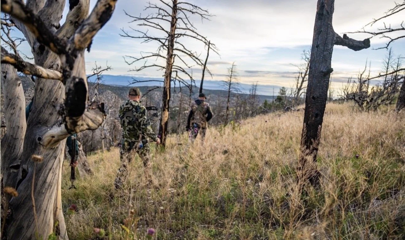 Several people in camouflage clothing hike through a dry, grassy forested area with charred trees during sunset, with mountains in the distance.