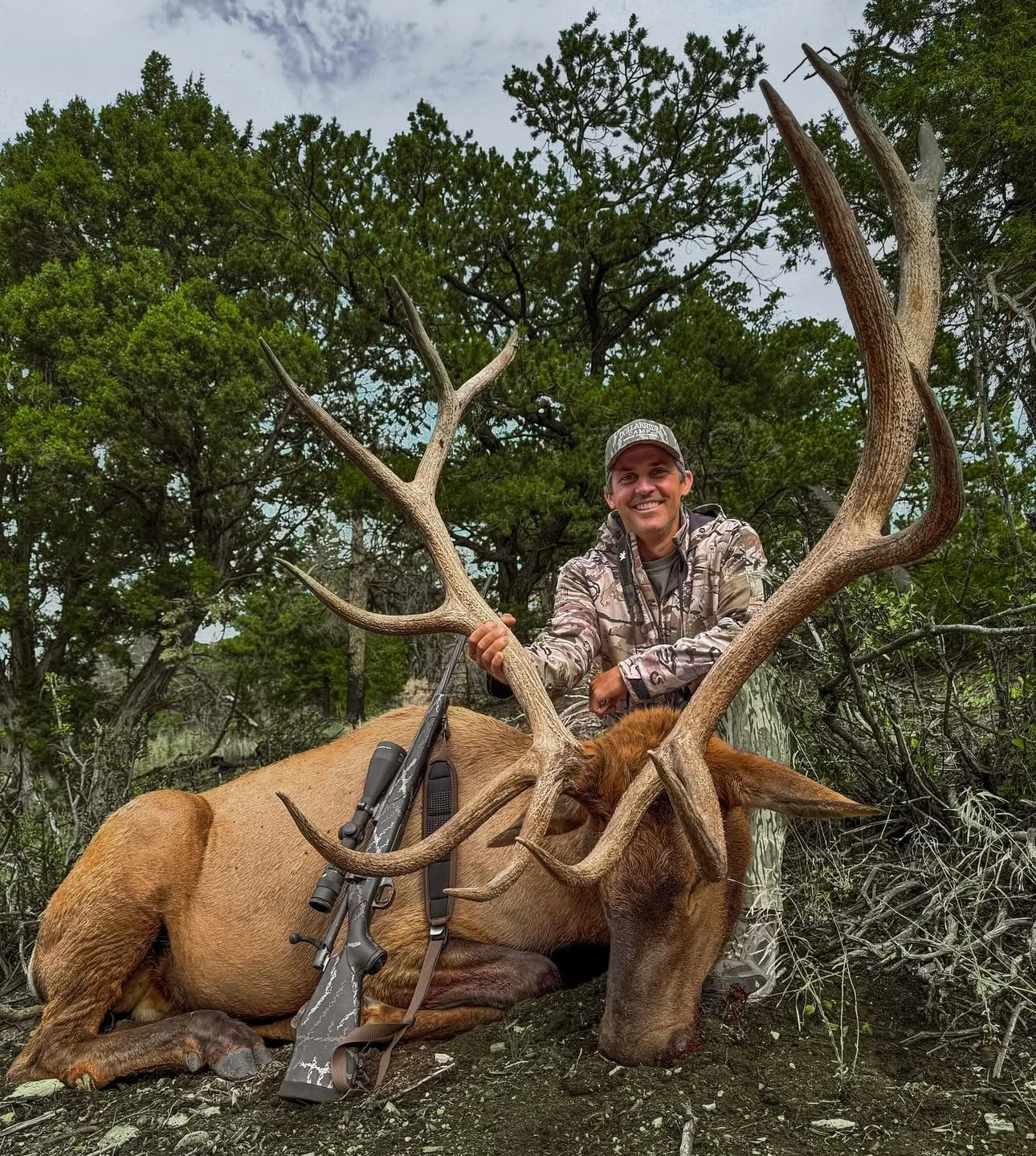 A man in camouflage clothing sitting behind a large elk with impressive antlers, holding one antler, in a forested area.