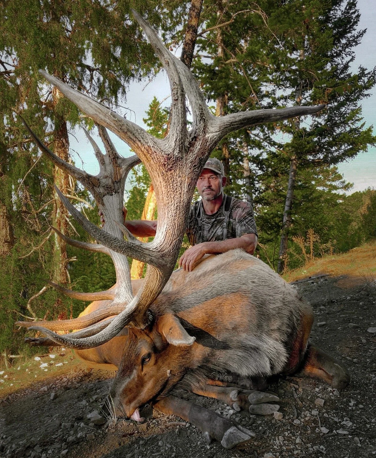 Hunter posing with mature bull elk harvested during a Utah elk hunt with SD Outfitters.