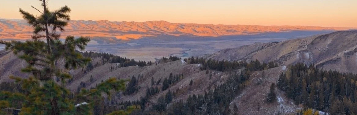 Guided elk hunts in Utah on private land with SD Outfitters.