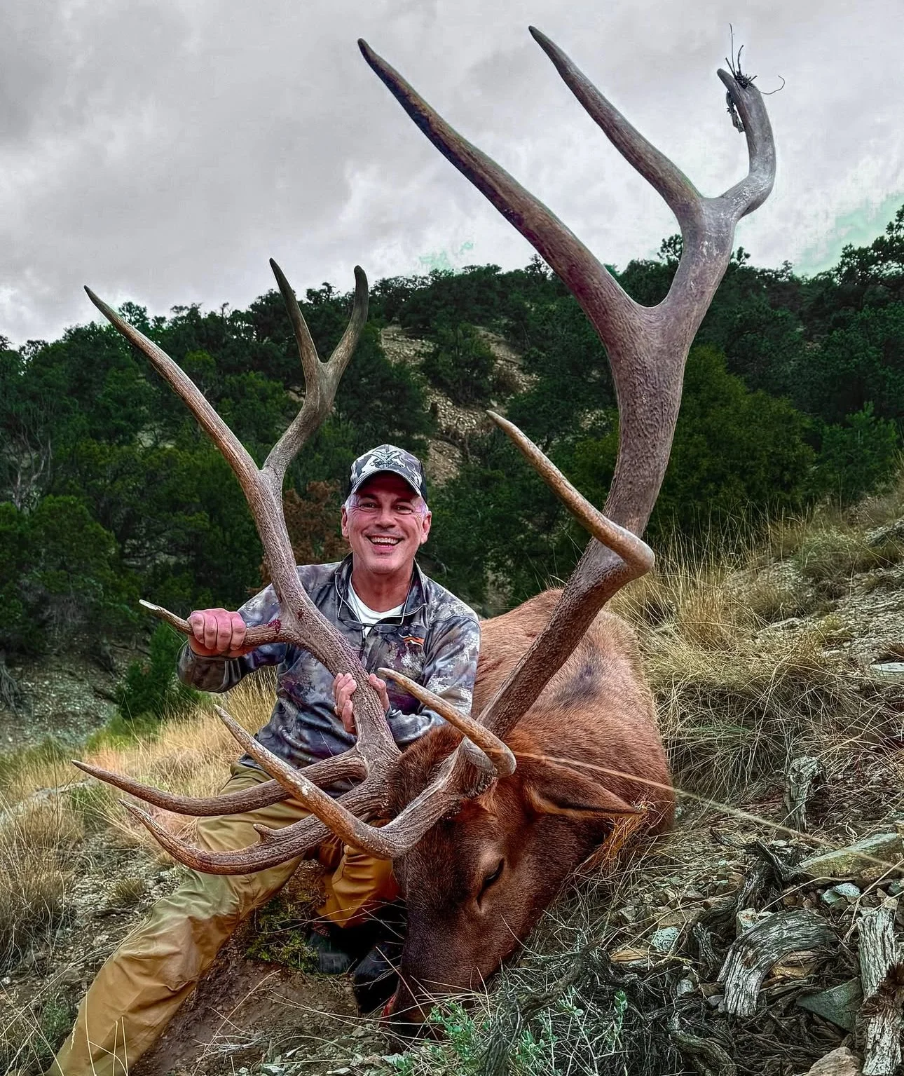 A man smiling and kneeling next to a large elk with big antlers in a natural outdoor setting with trees and grass.