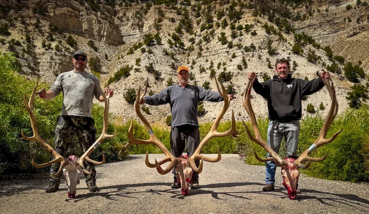 Guided Elk Hunts Utah | Private Ranch - SD Outfitters
