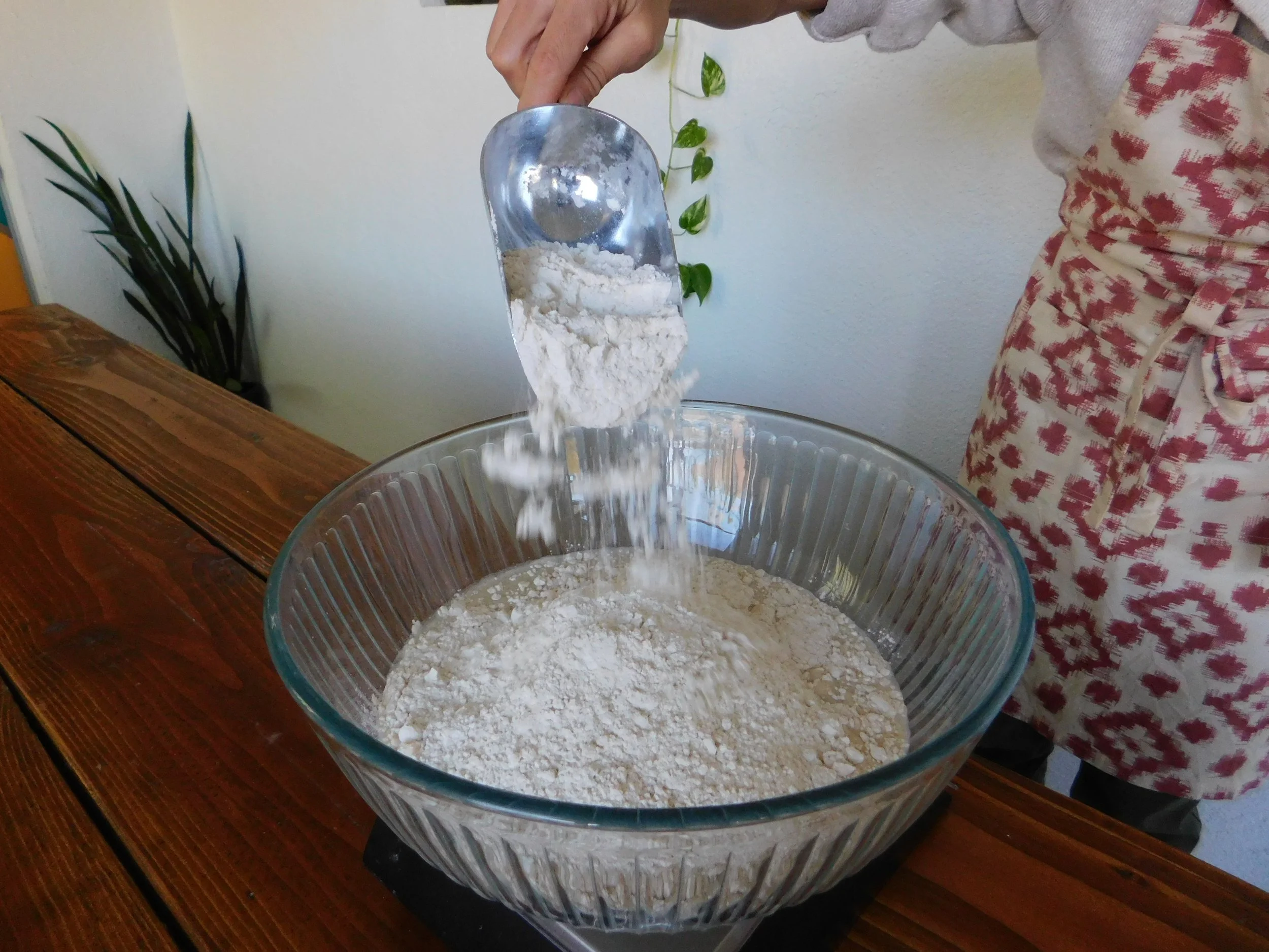 Whole Wheat vs. Wheat