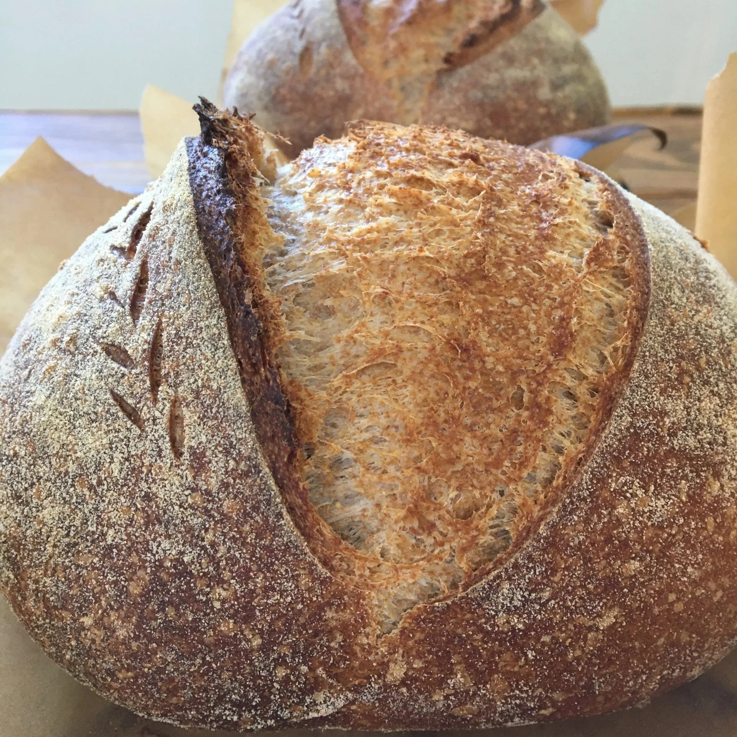 Beginner’s Sourdough Guide
