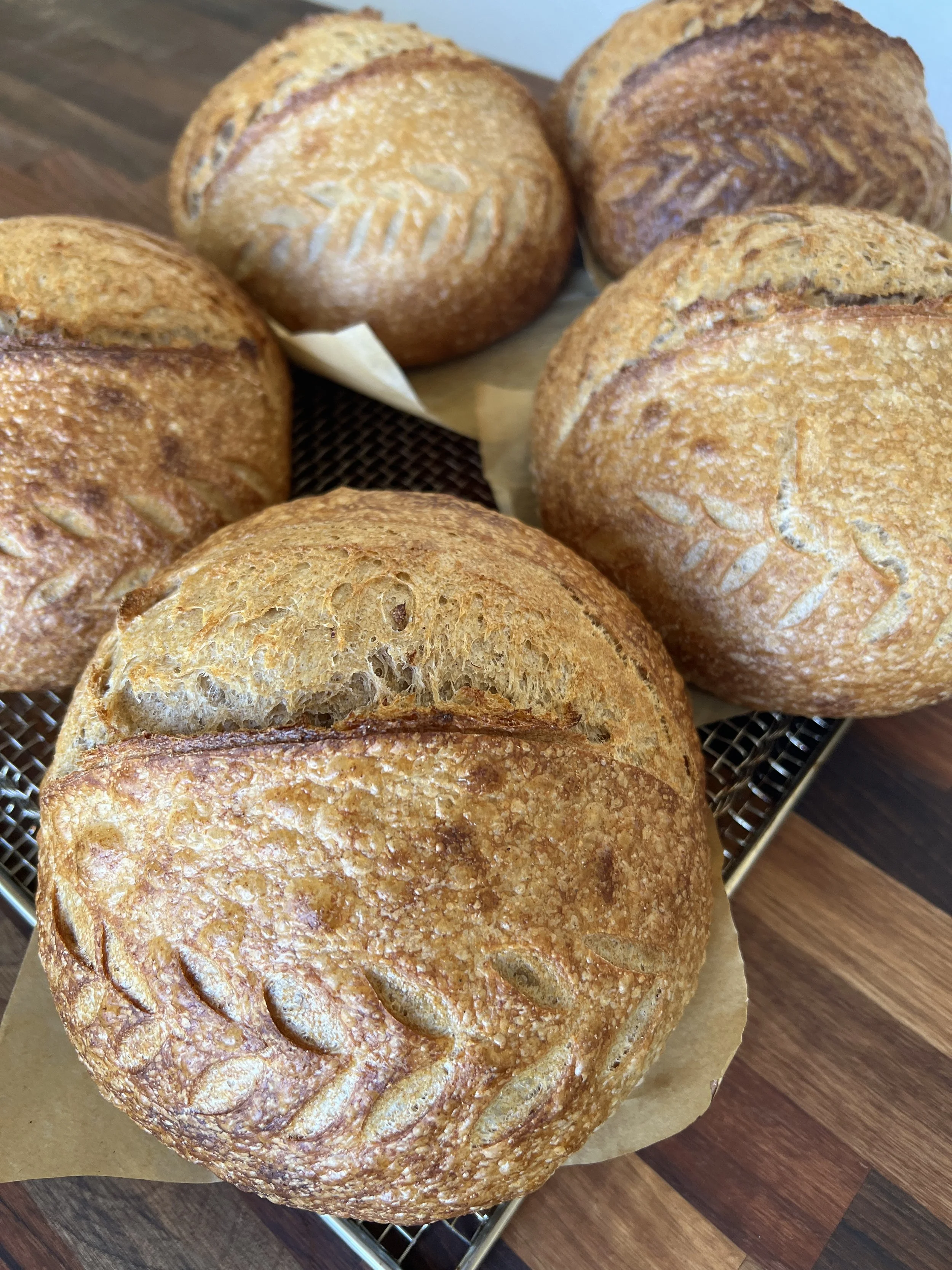 The Original Sourdough