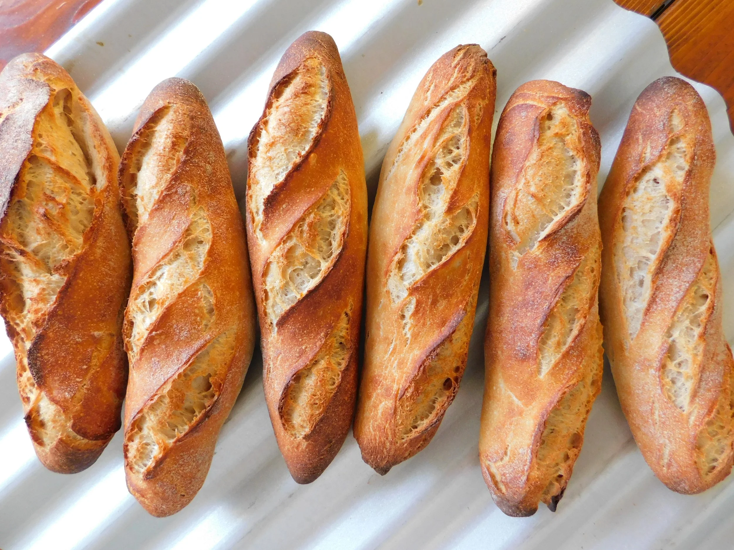 All Commercial Wheat is Non-GMO