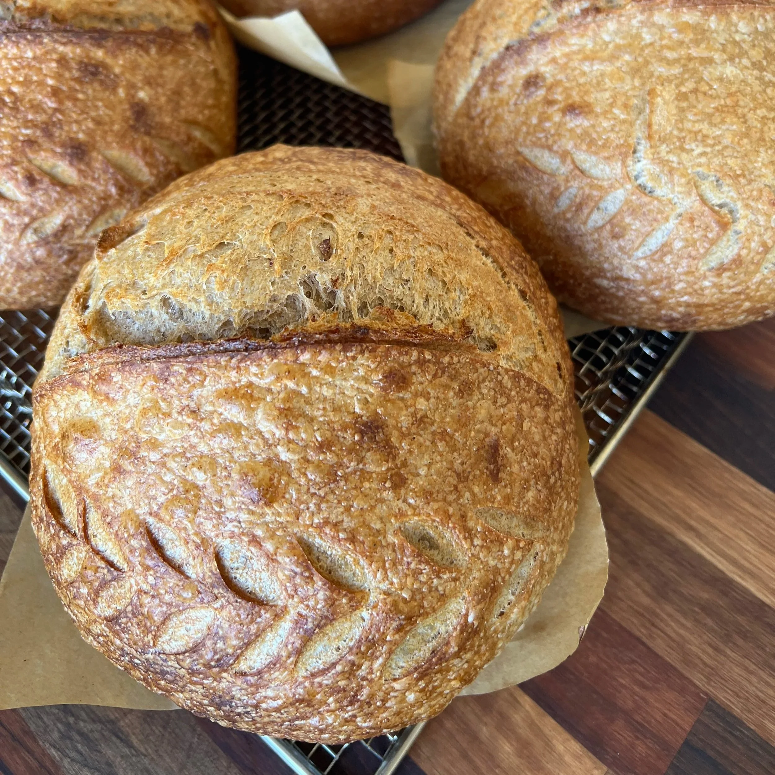 golden baked sourdough boule with wheat design on blistered crust