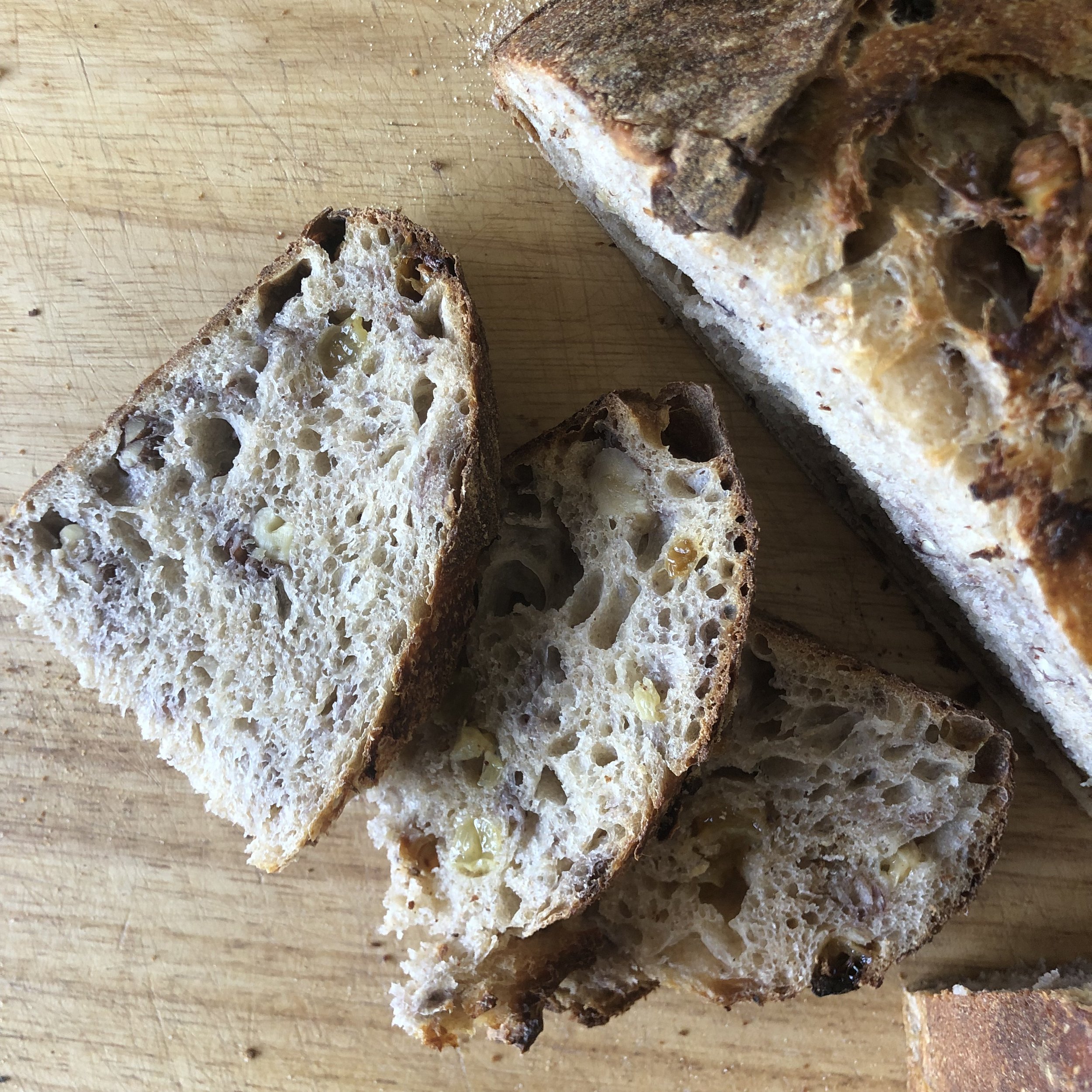 golden raisin walnut crumb4.jpeg