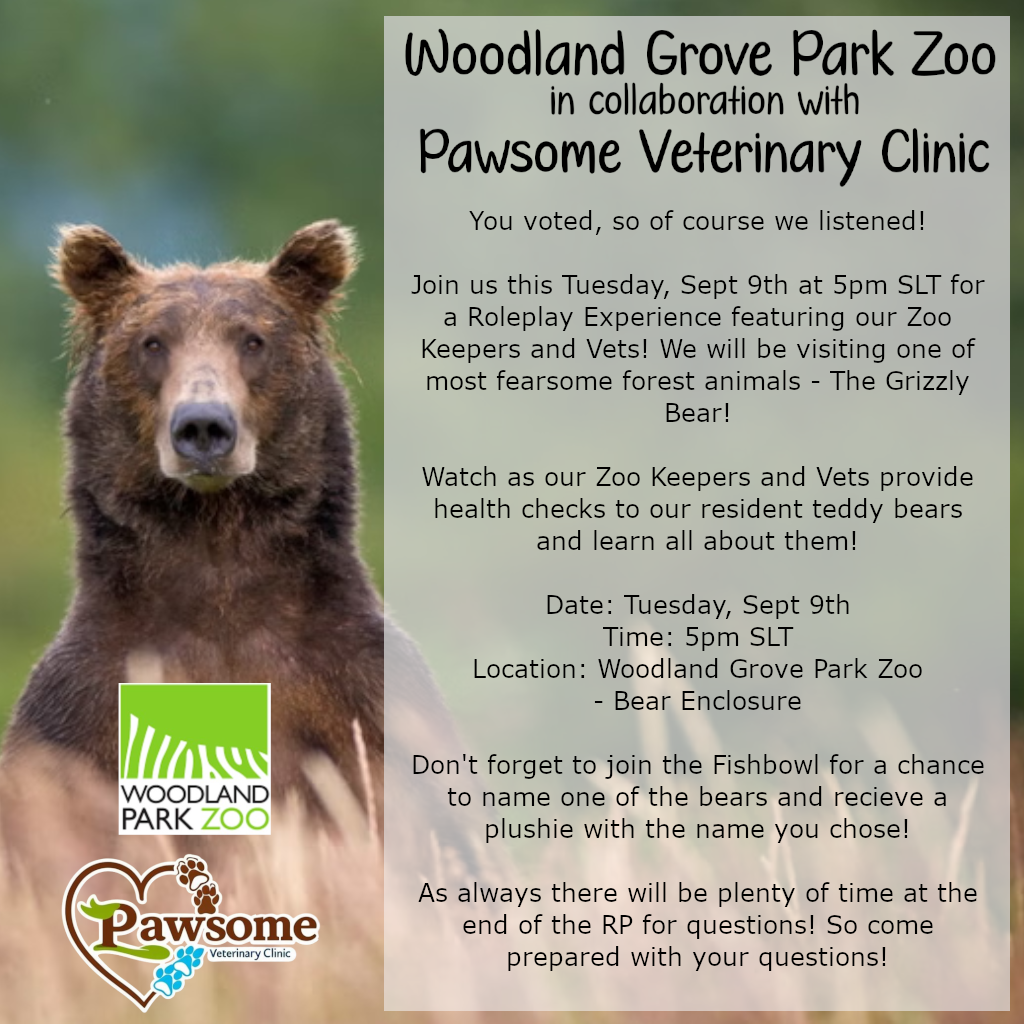 WOODLAND PARK ZOO EXPERIENCE - GRIZZLY BEARS