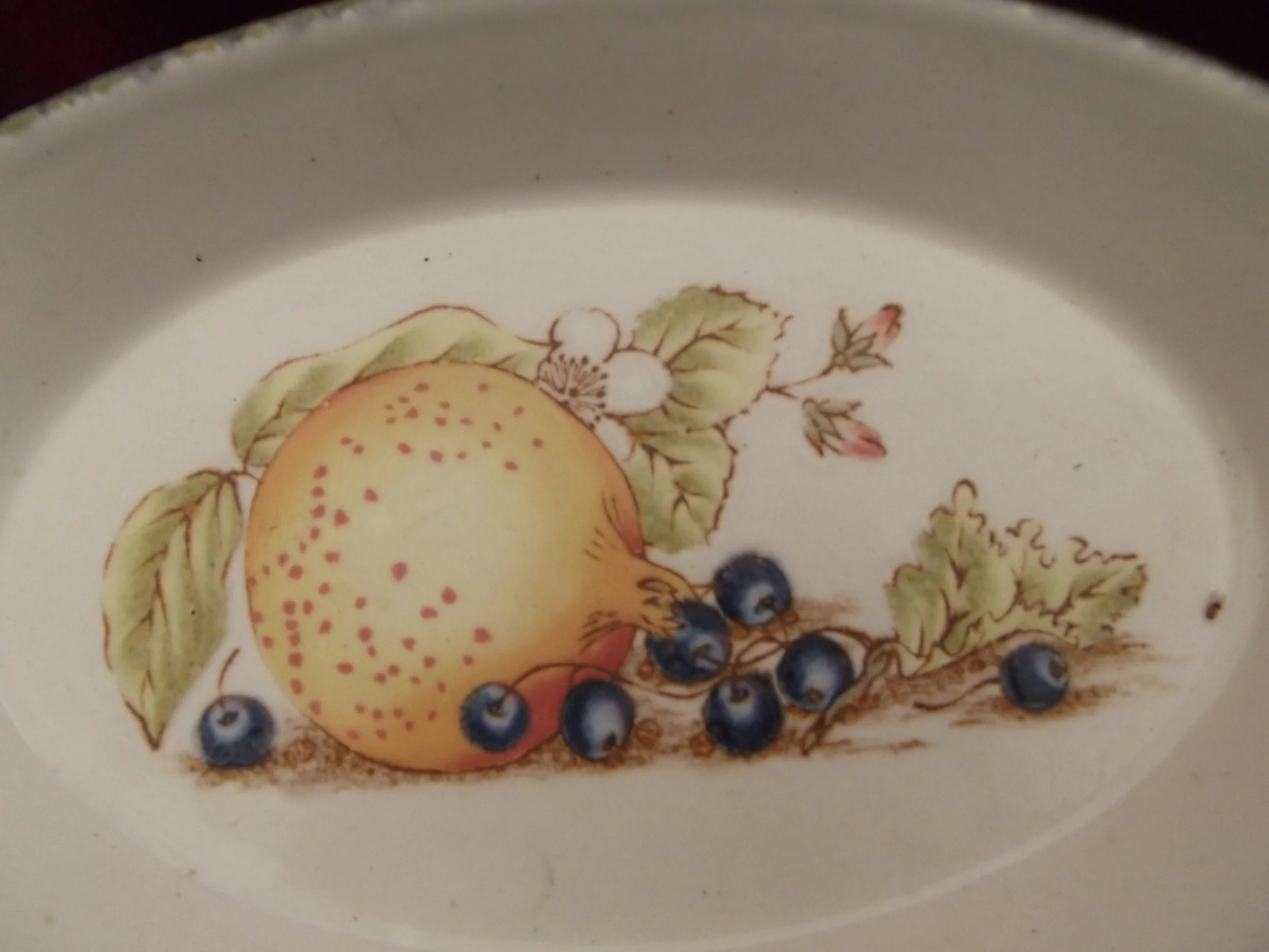 DSCF8846.JPG