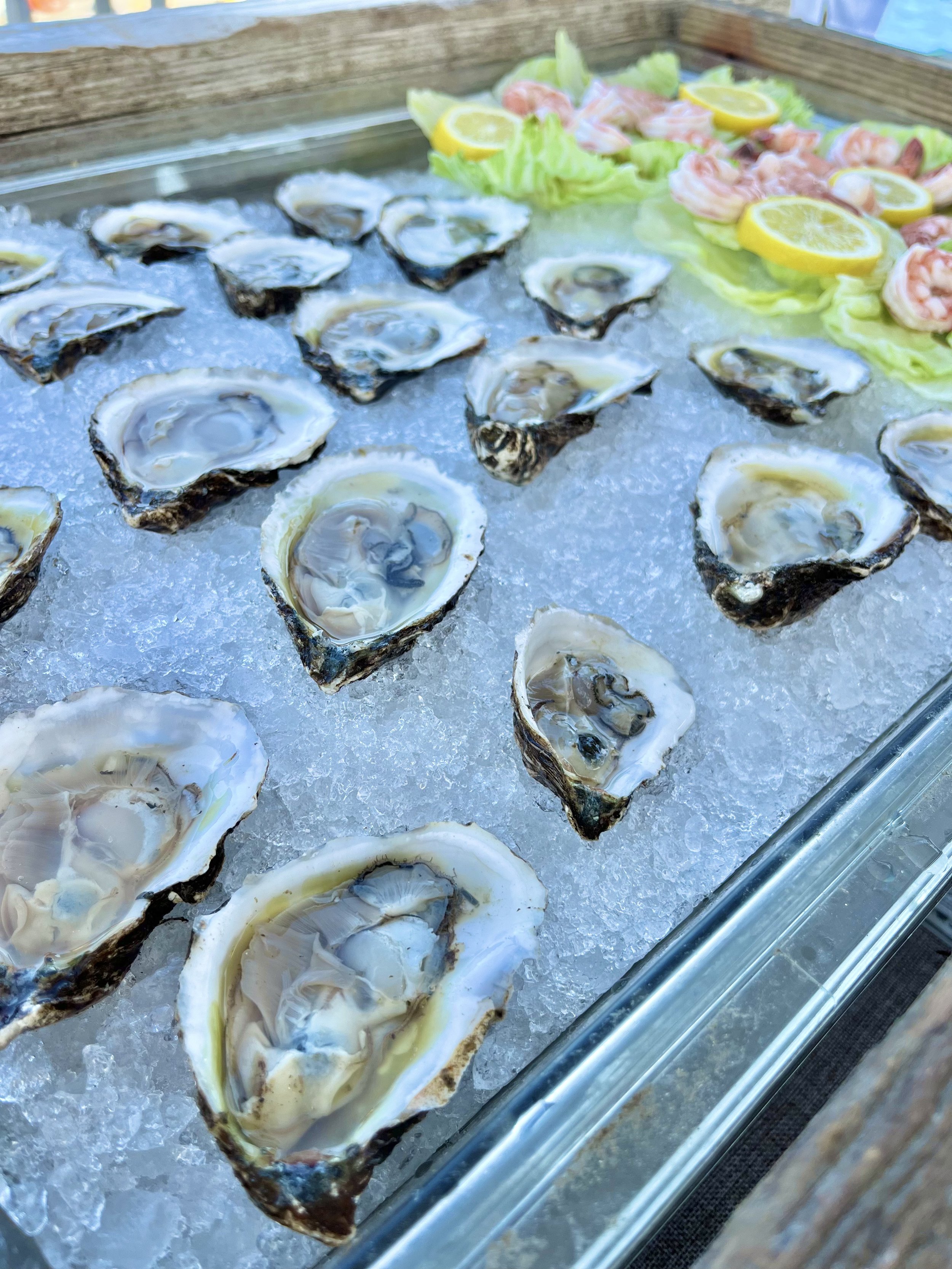 5 Health Benefits of Oysters