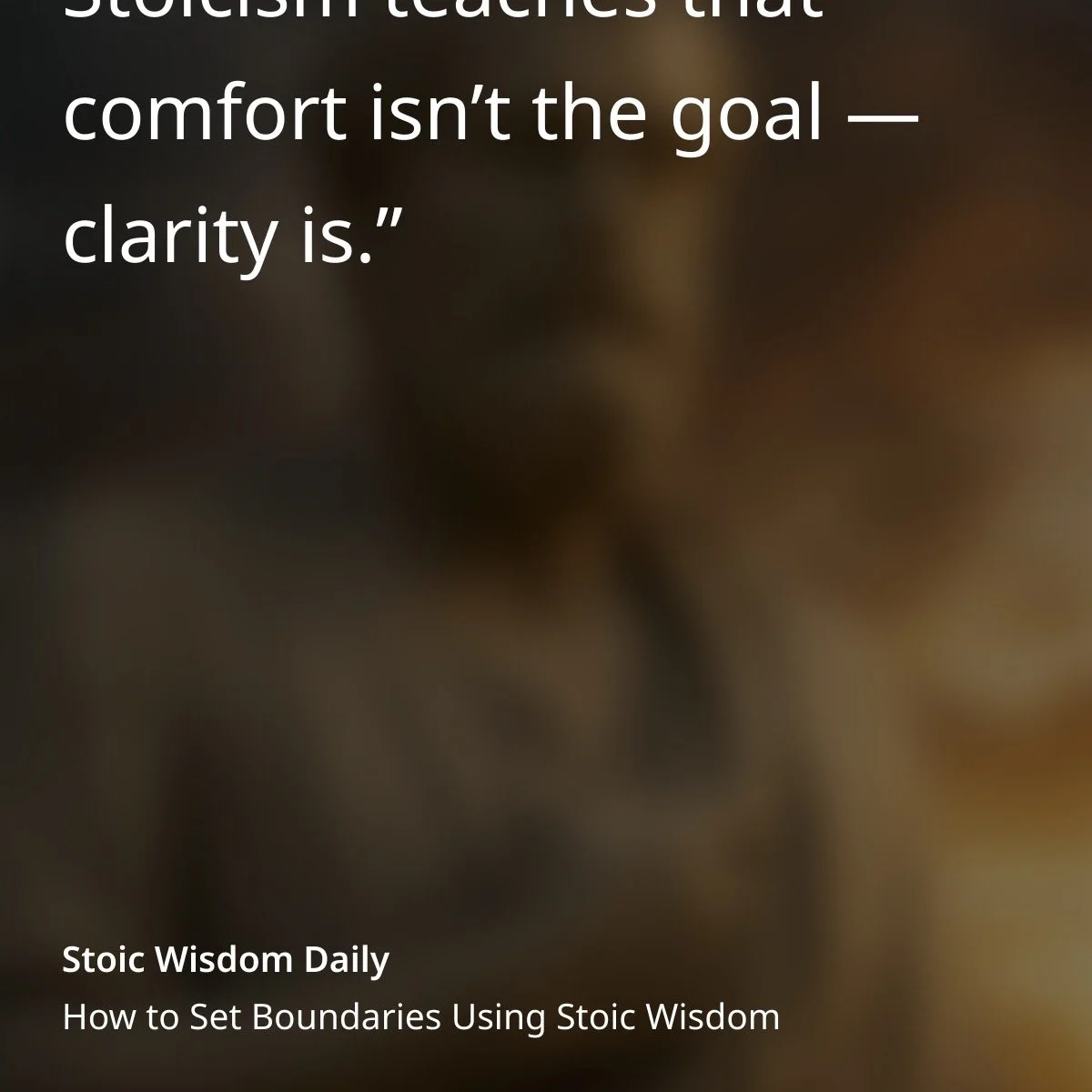 Stoicism teaches us that comfort isn&rsquo;t the goal &mdash; clarity is.
Comfort keeps us numb.
Clarity asks us to look, listen, and respond.
At Next Level Wholeness, this is how we approach health.
Not by chasing quick fixes or temporary relief,
bu