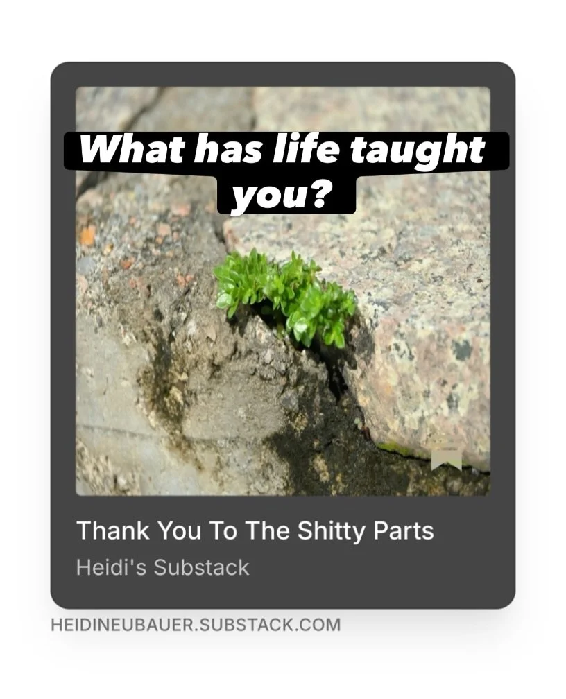 Is there a survival skill that served you beautifully once, but you&rsquo;re finally ready to soften?

Hyper-independence. Never asking for help. Always being the strong one.

I wrote about mine this week. About the childhood that built them, the yea