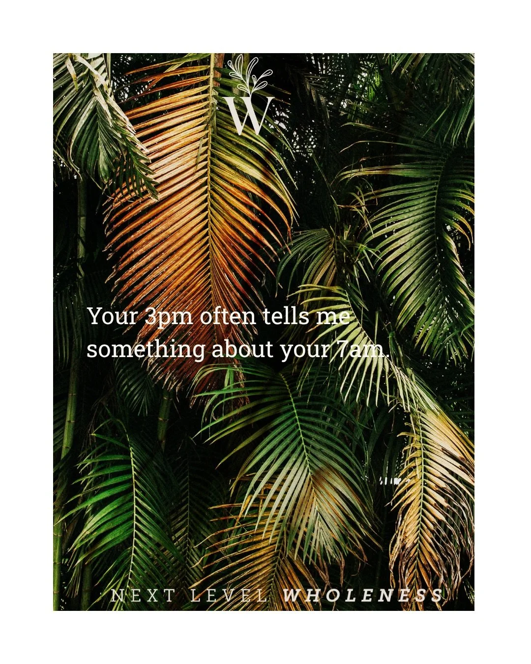 Your 3pm crash didn&rsquo;t necessarily start at 3pm.

That&rsquo;s one of the things I wish more women understood about their bodies.

We tend to look at the moment something happens.

The energy crash.
The sugar craving.
The irritability.
The brain