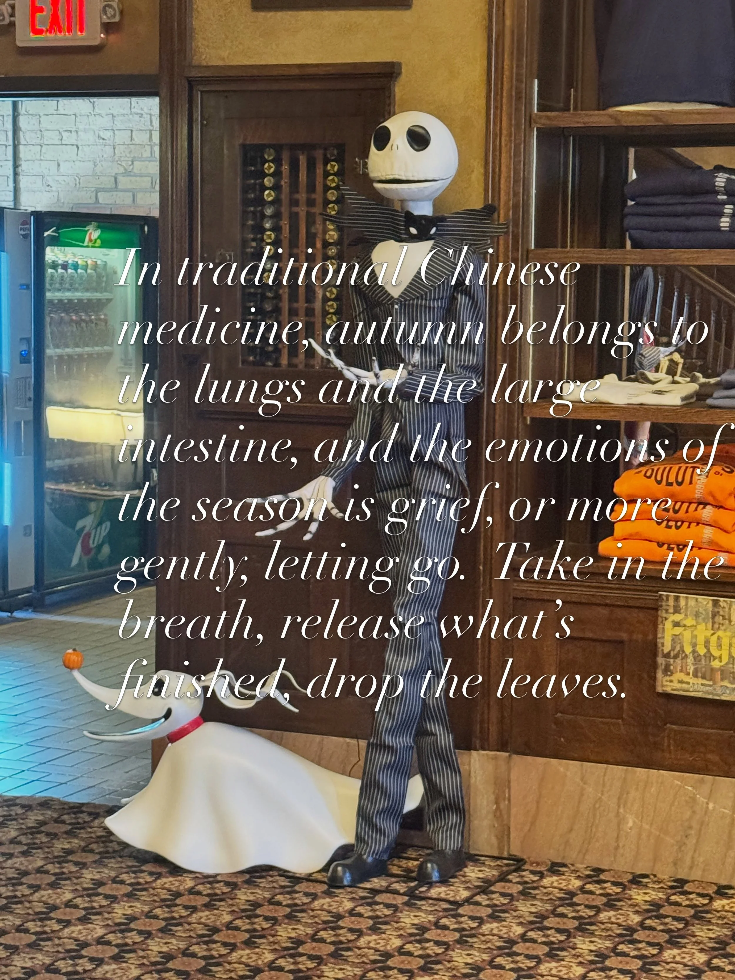 In Traditional Chinese Medicine, autumn belongs to the Lungs and the Large Intestine, and the emotion of the season is grief, or more gently, letting go. Take in the breath, release what&rsquo;s finished, drop the leaves.

I notice it every year in m