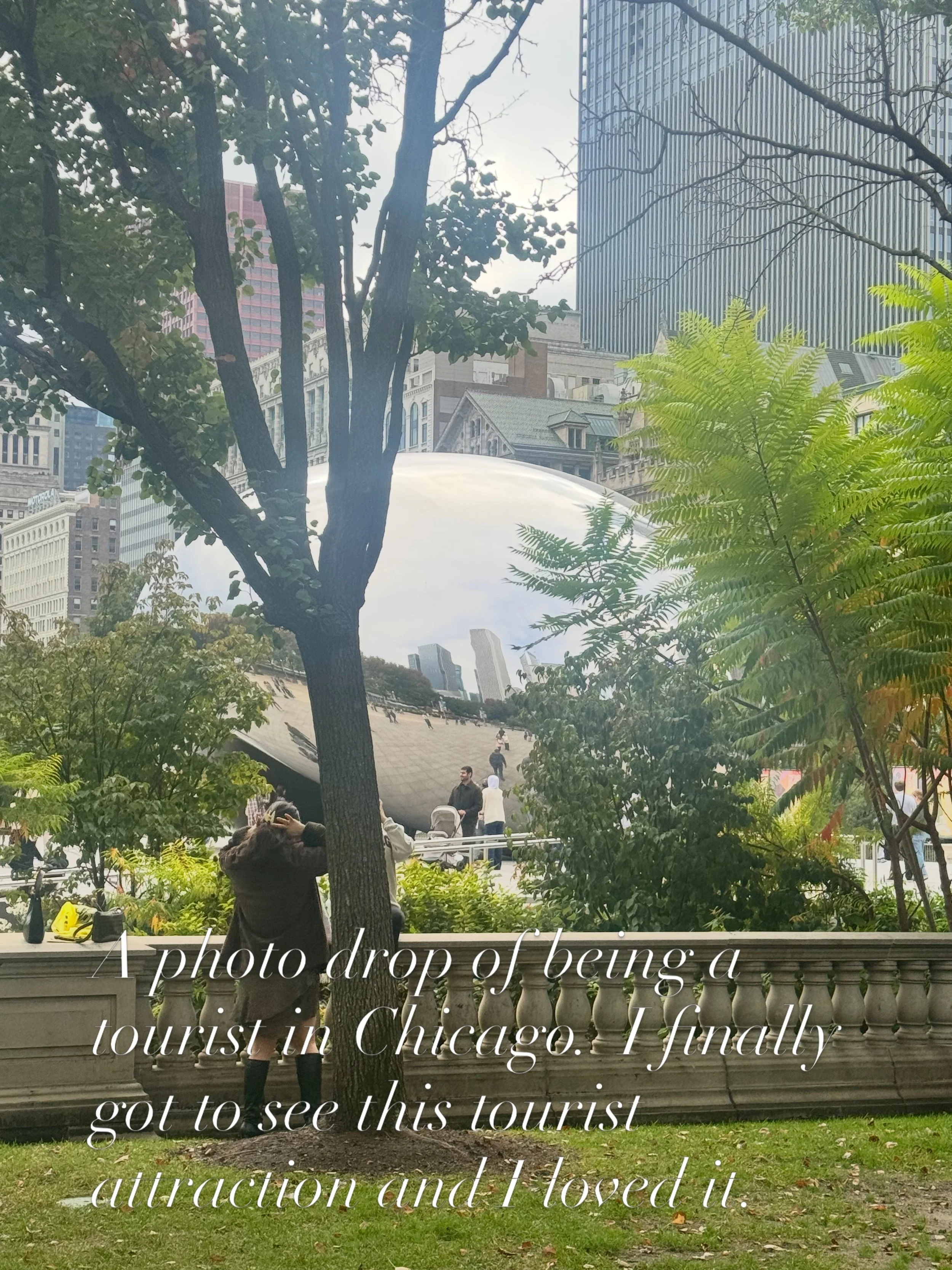 The joys of being a tourist. 

I finally got to see the Bean in Chicago.  And I loved it. The view from underneath was amazing. 

Convinced a family member to drive through the crazy Chicago traffic and pay the exorbitant parking fees so that I could