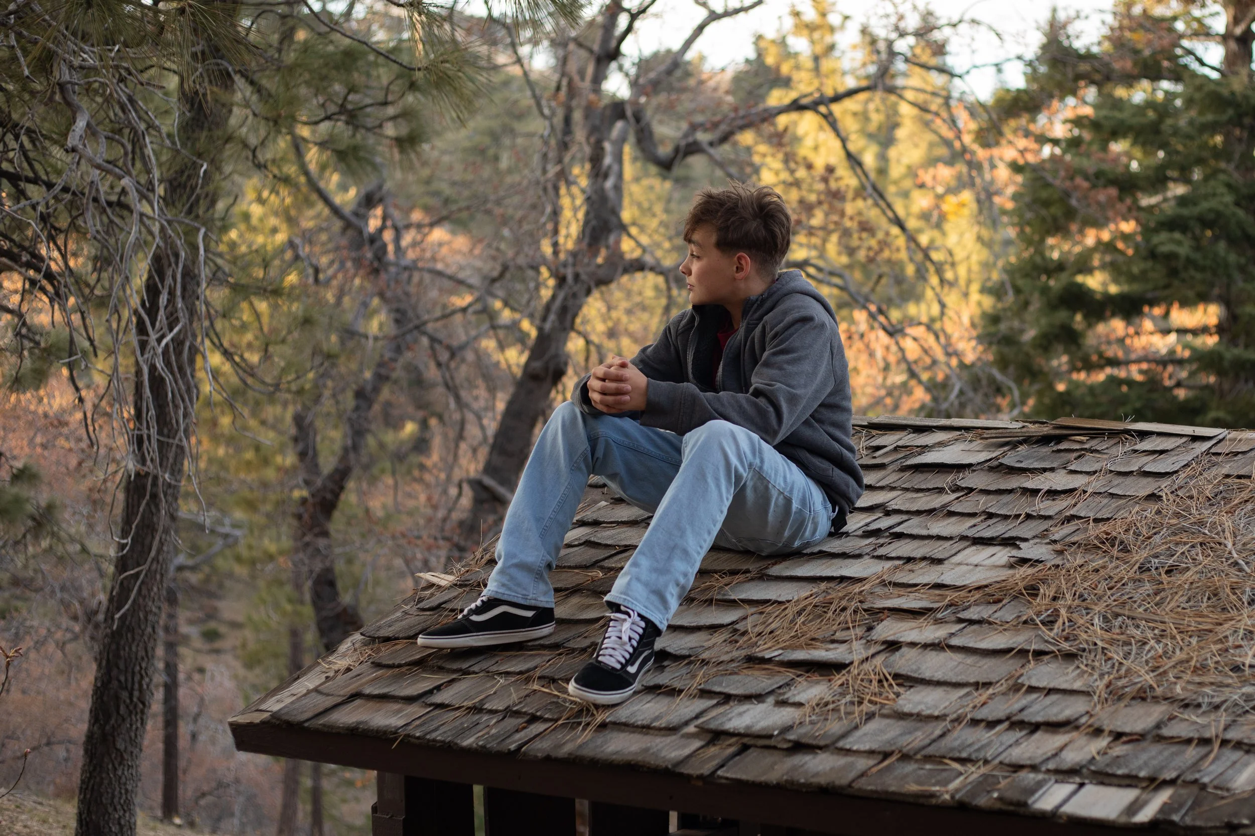 Youn boy sitting on roof looking into the woods by family photographer in wrightwood, ca.