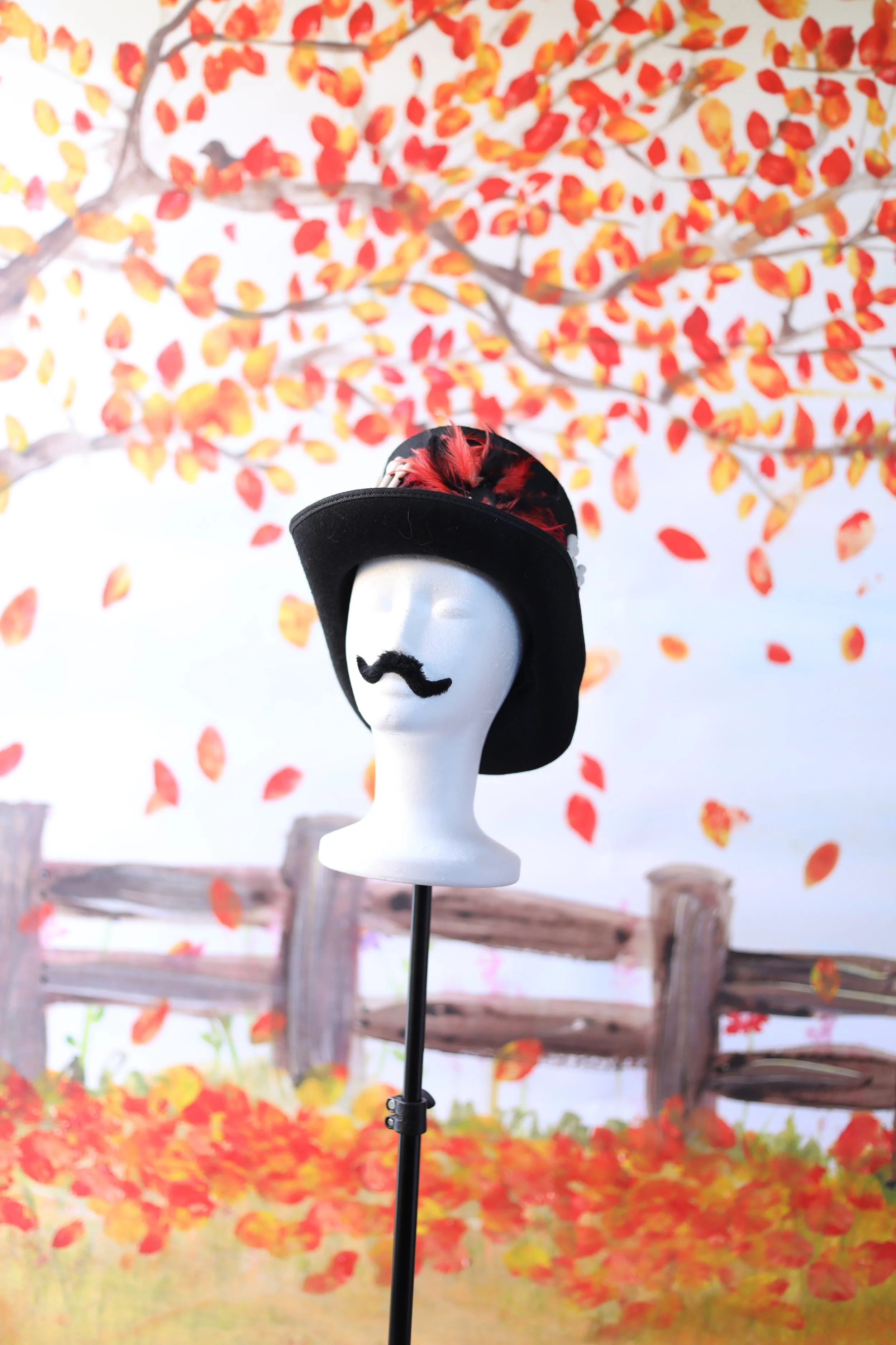fallbackdrop.JPG