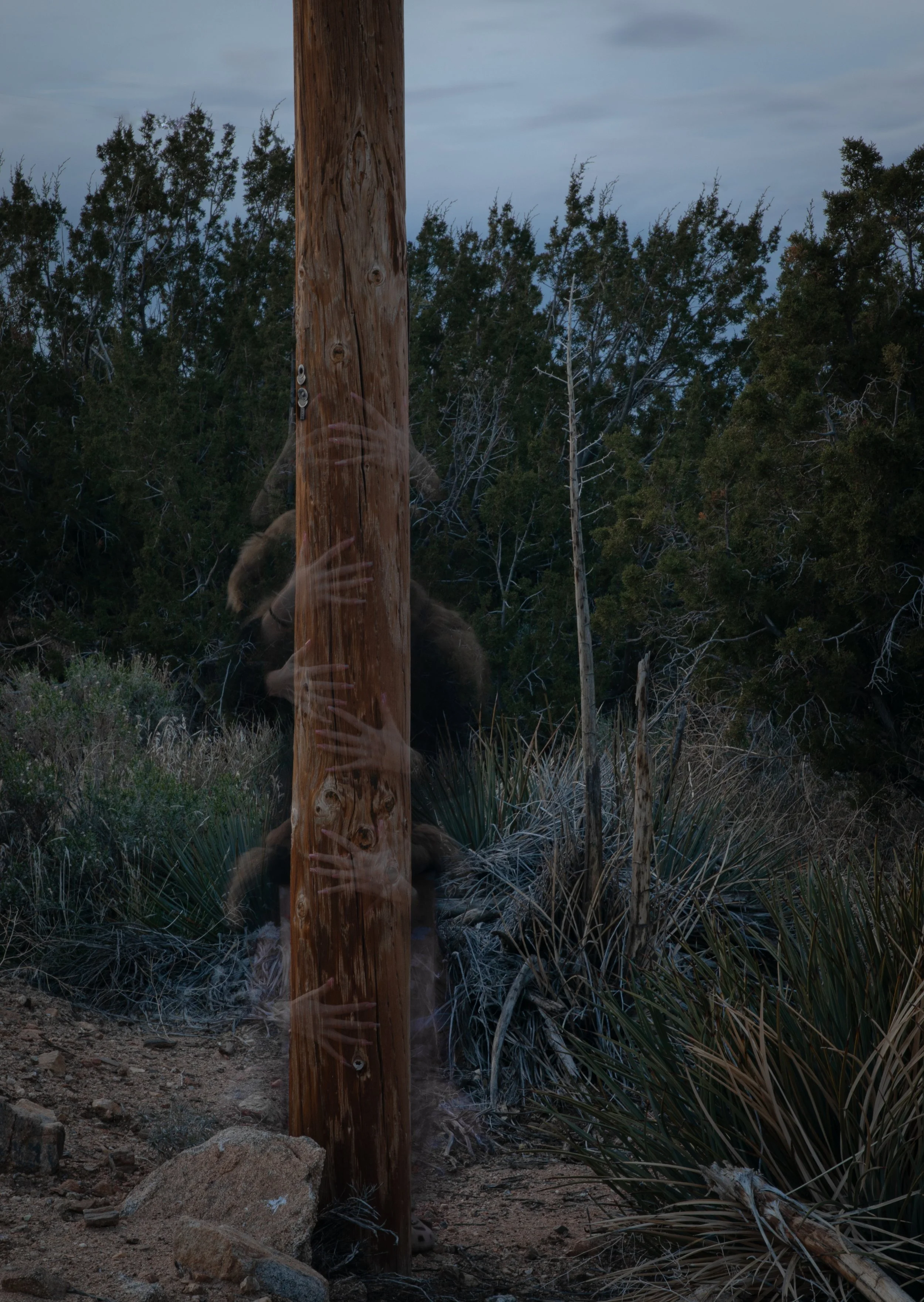 Ghost pole-.jpg
