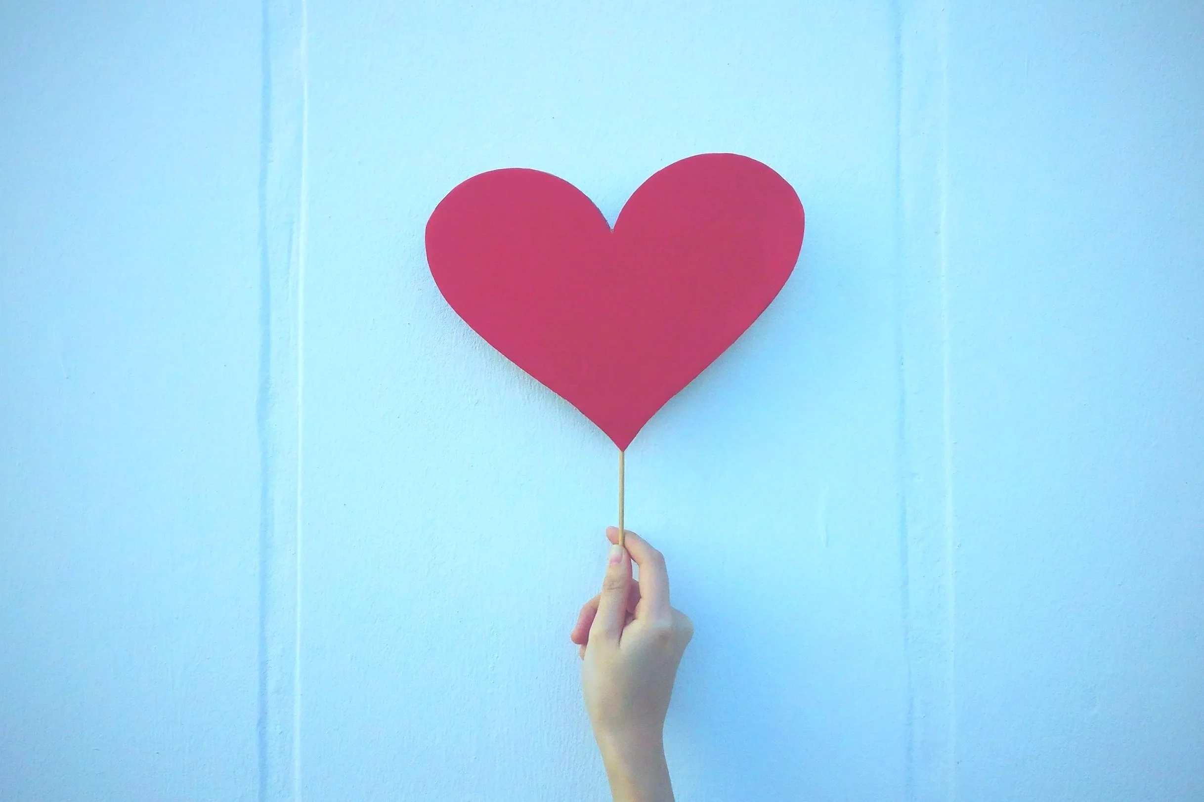 Annette Marie Photography: The Pinon Hills Family Photographer’s Journey