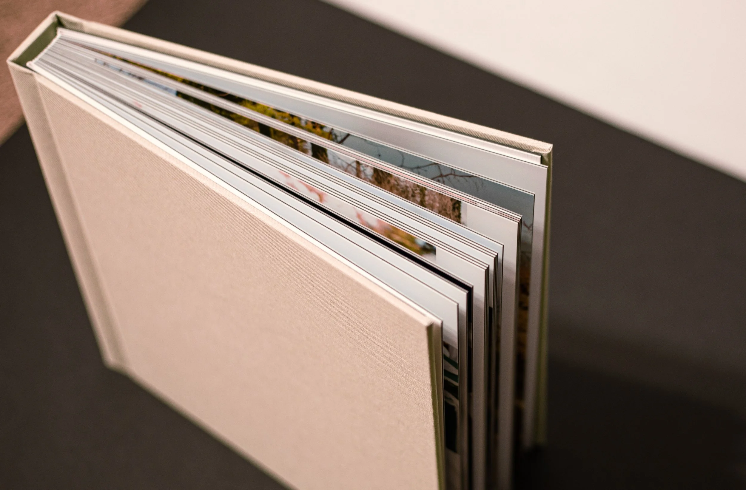 high desert portrait photographer for families that offers albums and wall art.