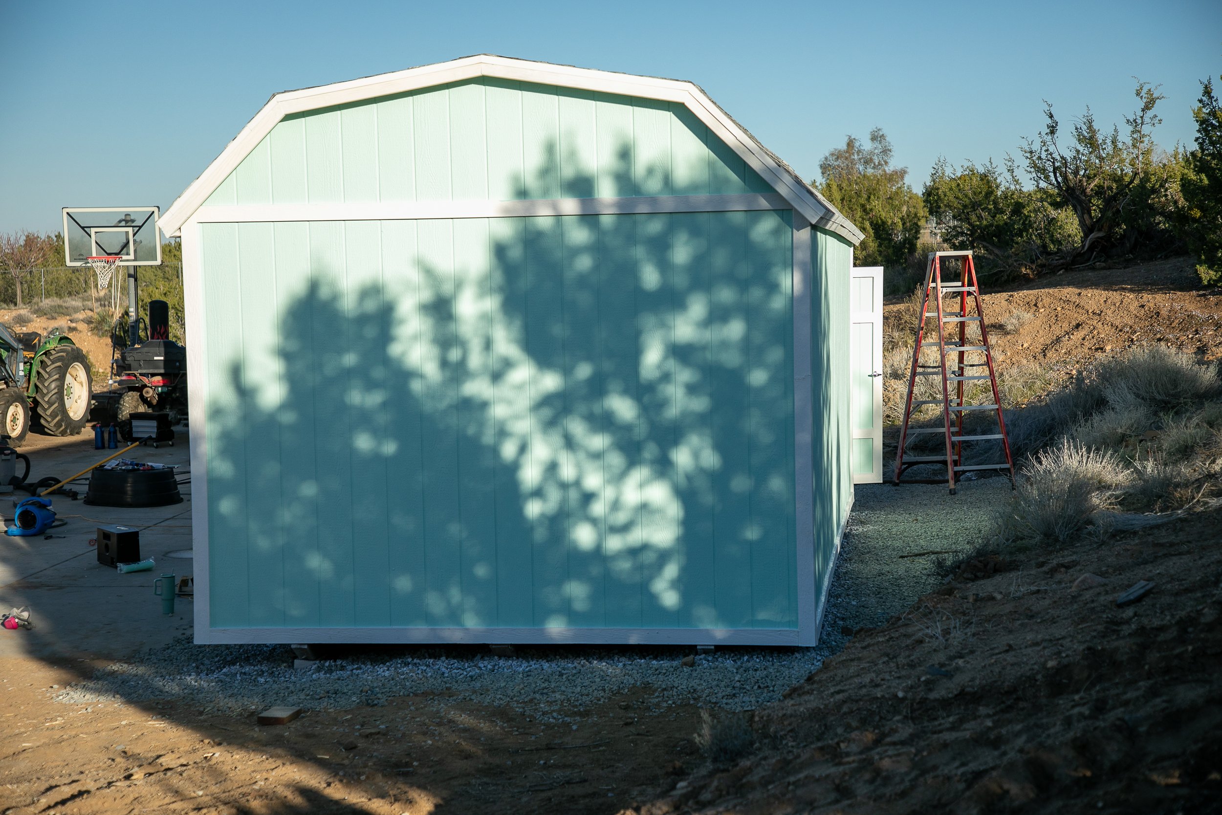 Cottagecore she shed with seafoam green paitn and a pink door.
