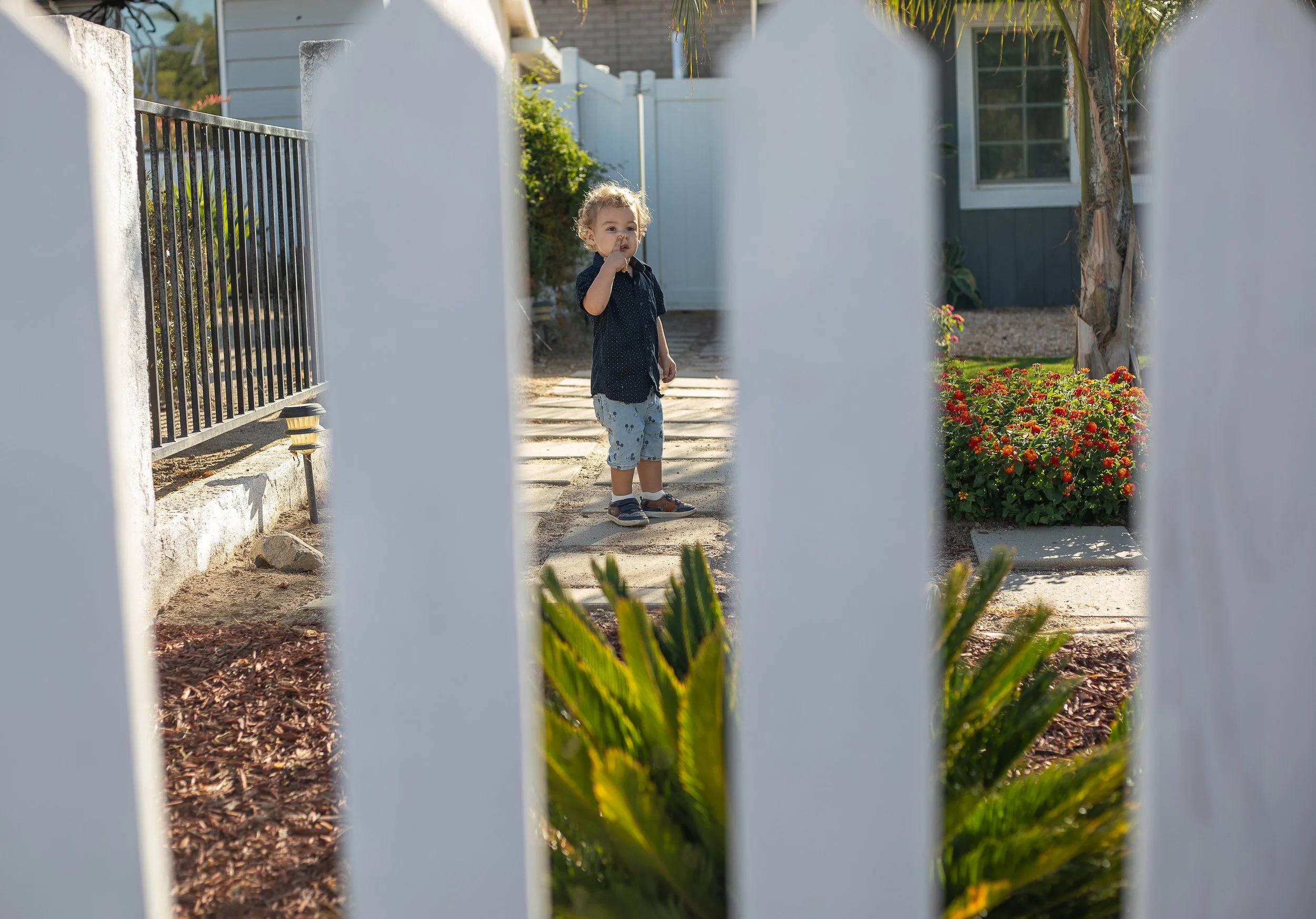 family photographer takes photos at your home. toddler running around yard exploring. Pinon hills family photographer