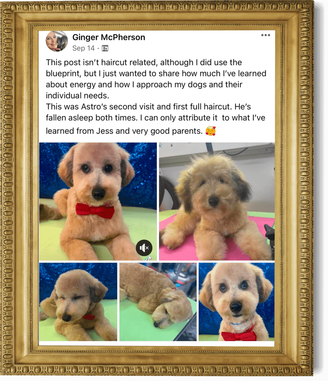 GINGER TESTIMONIAL (1).png