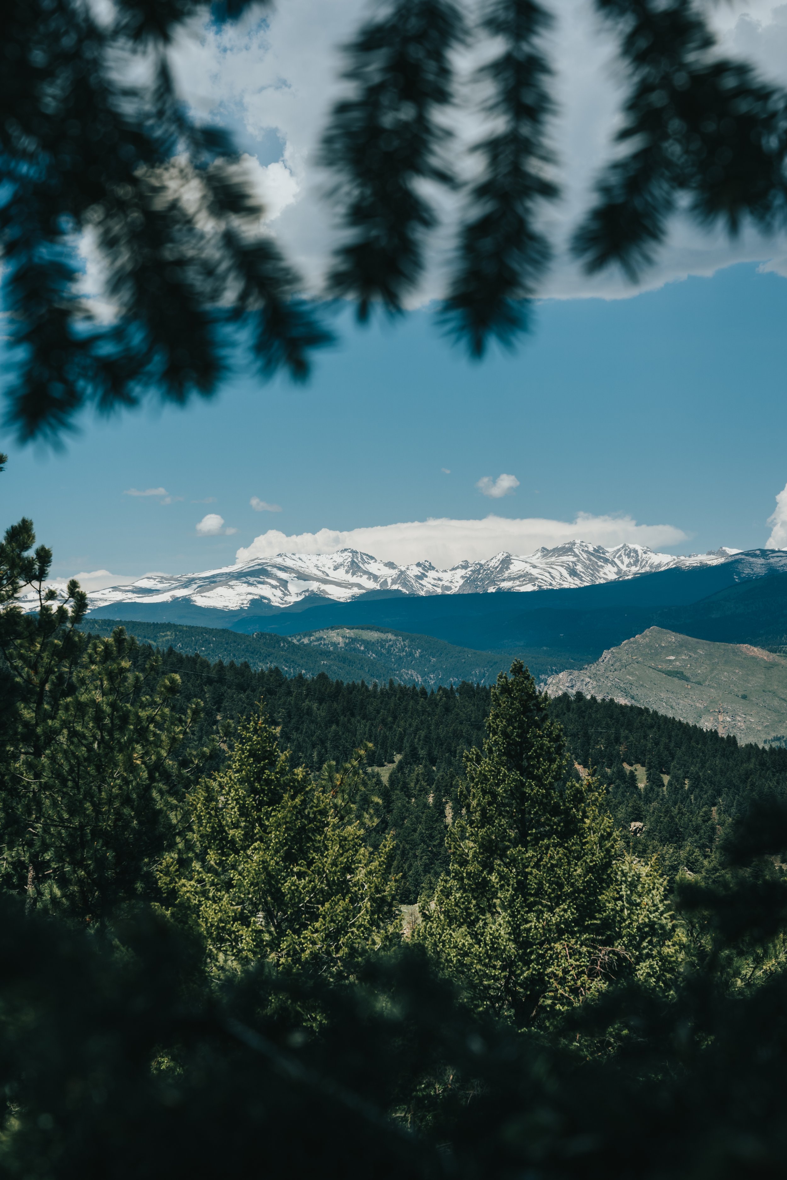 21 06 Shady Oaks Mountains.jpg
