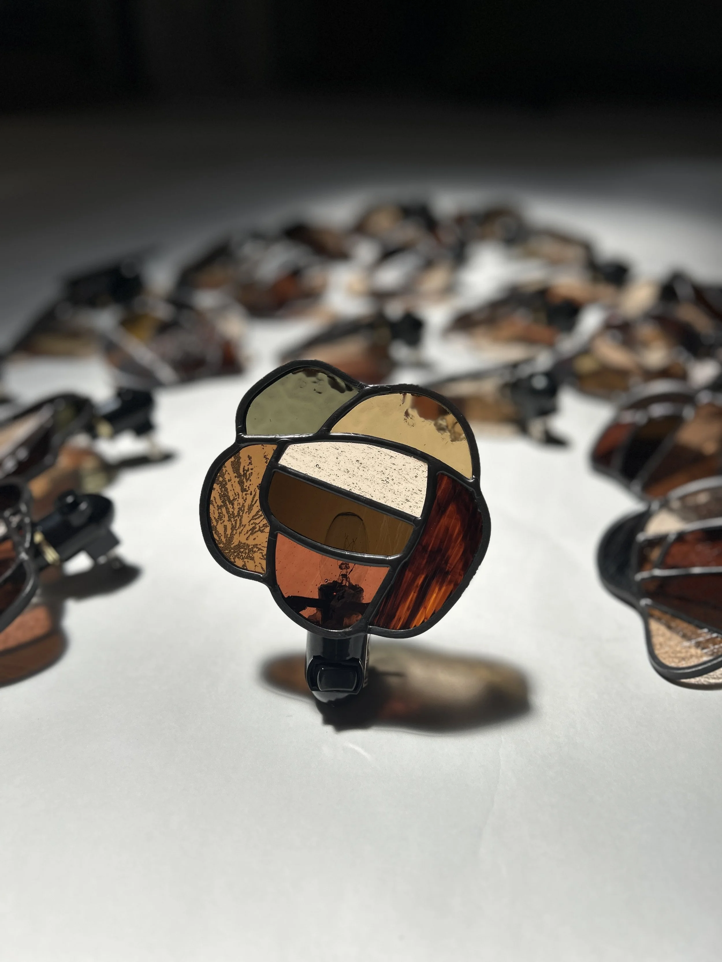 Crash Course Nightlights - A One Day Workshop