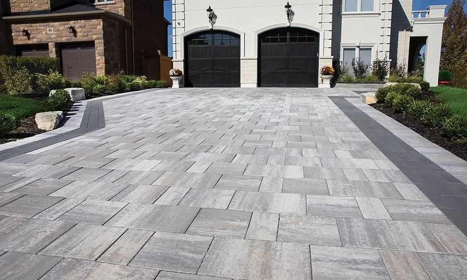 bws_trevista_80_smooth_04.jpg