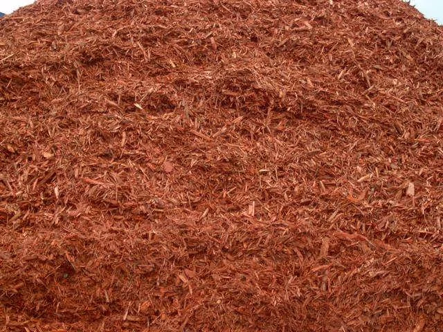 red mulch.jpg