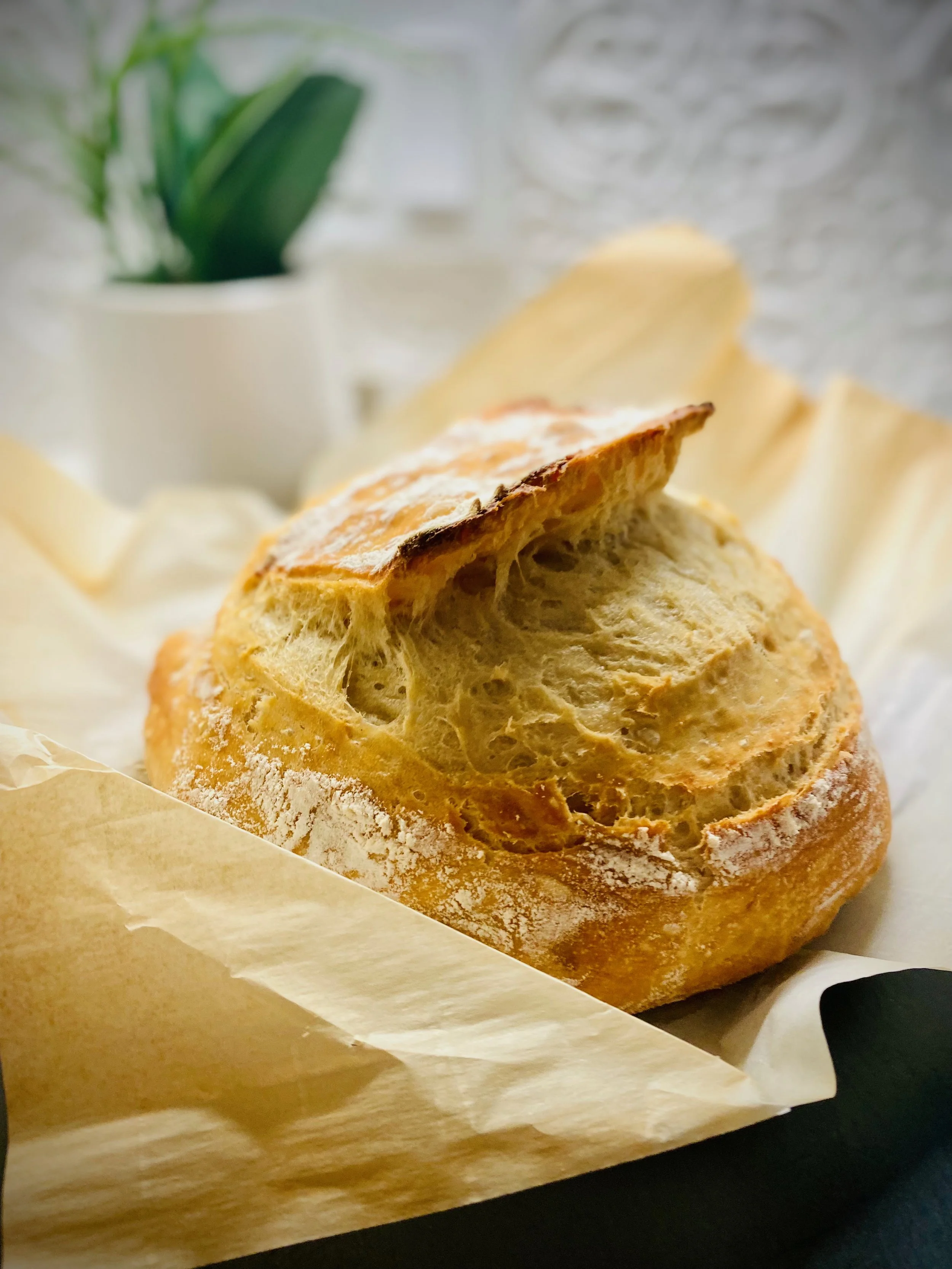 A close-up of a rustic, crusty loaf of bread with a portion torn off, resting on parchment paper with a background of a potted plant and a glass container.