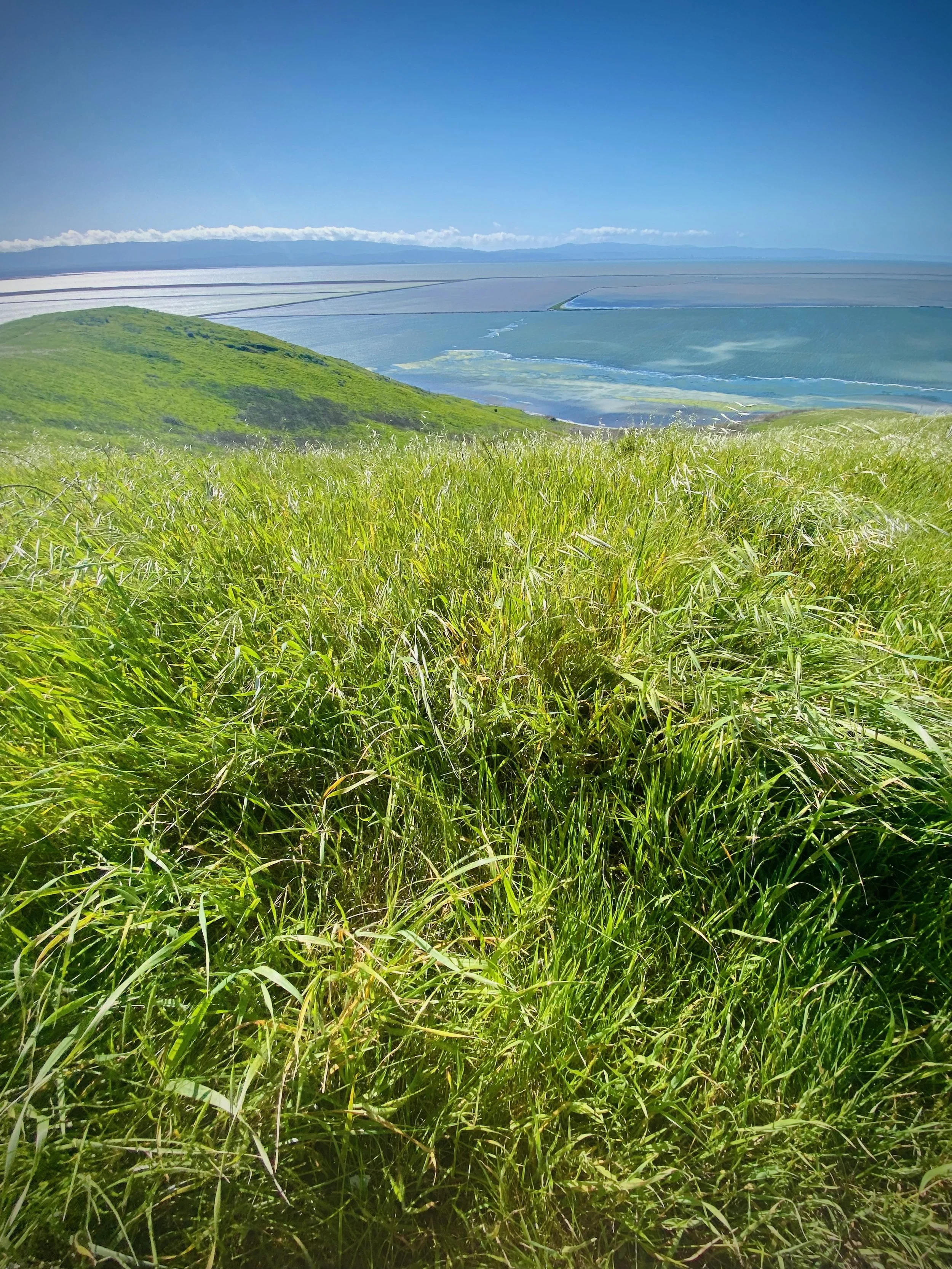 Green grassy hill overlooking a coastal area with a body of water, with clear blue sky and distant mountains.