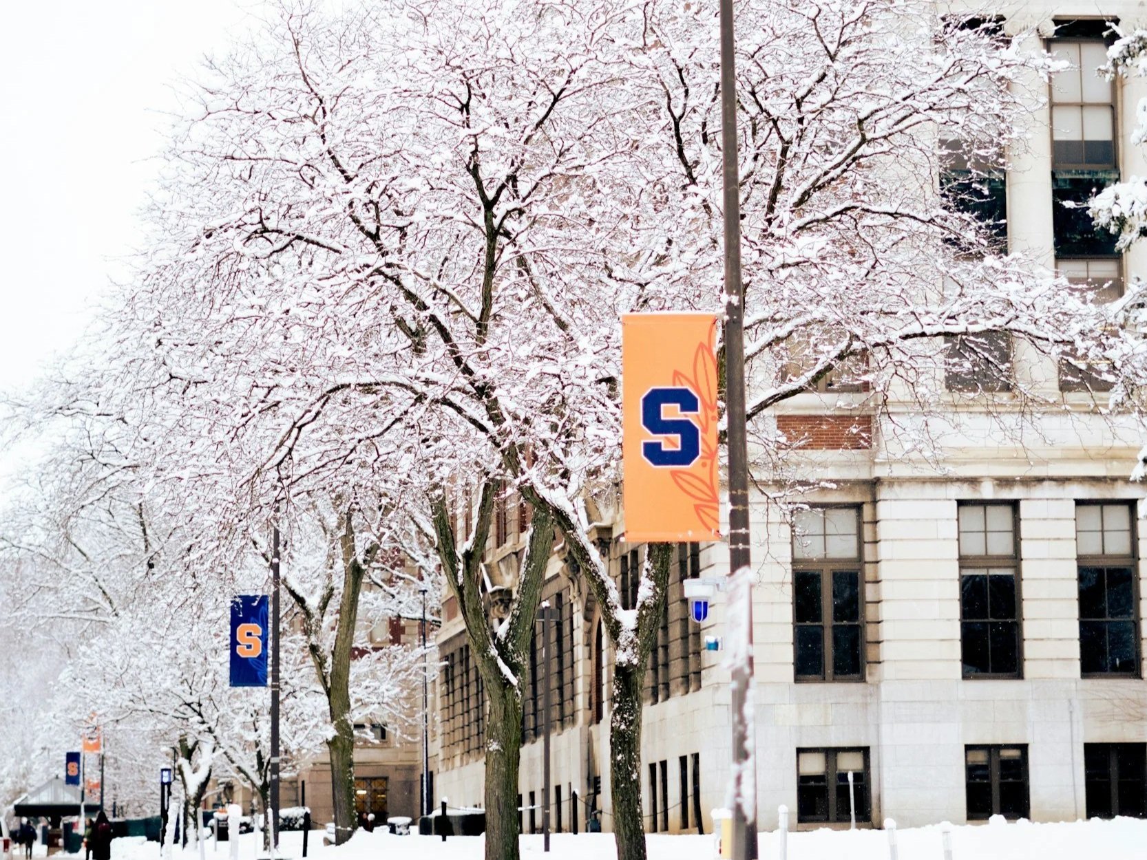Snow-covered trees along a city street with flags bearing a large blue and orange 'S' logo.