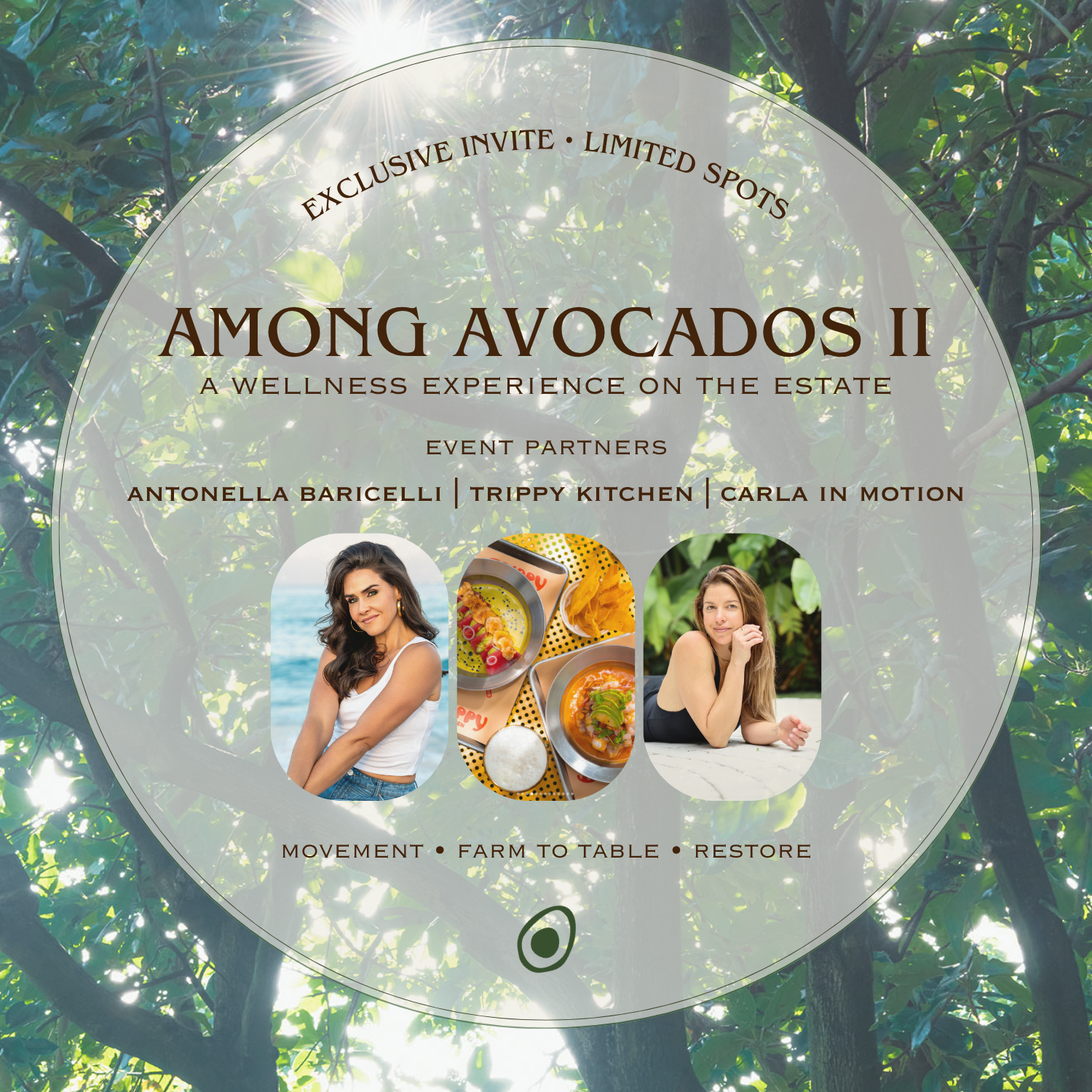 Entrance • Among Avocados II