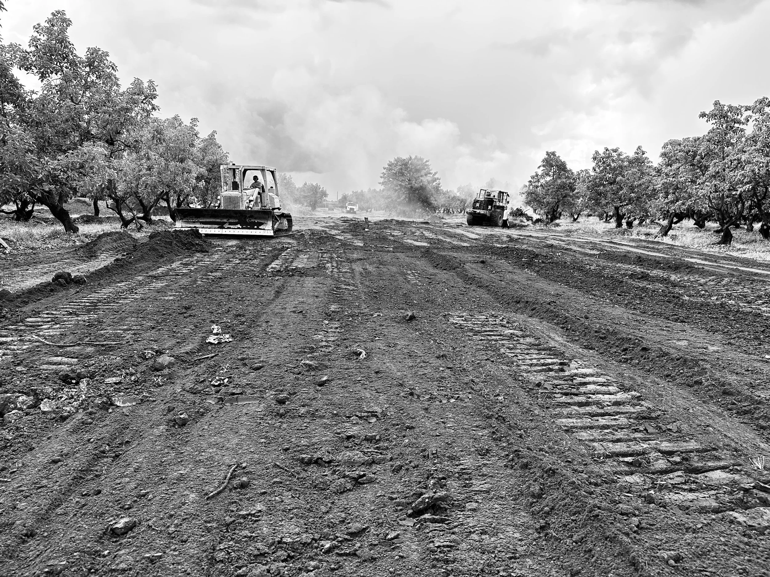 Black and white photo of a rural area with a dirt road being leveled by heavy machinery, surrounded by trees, with clouds in the sky.